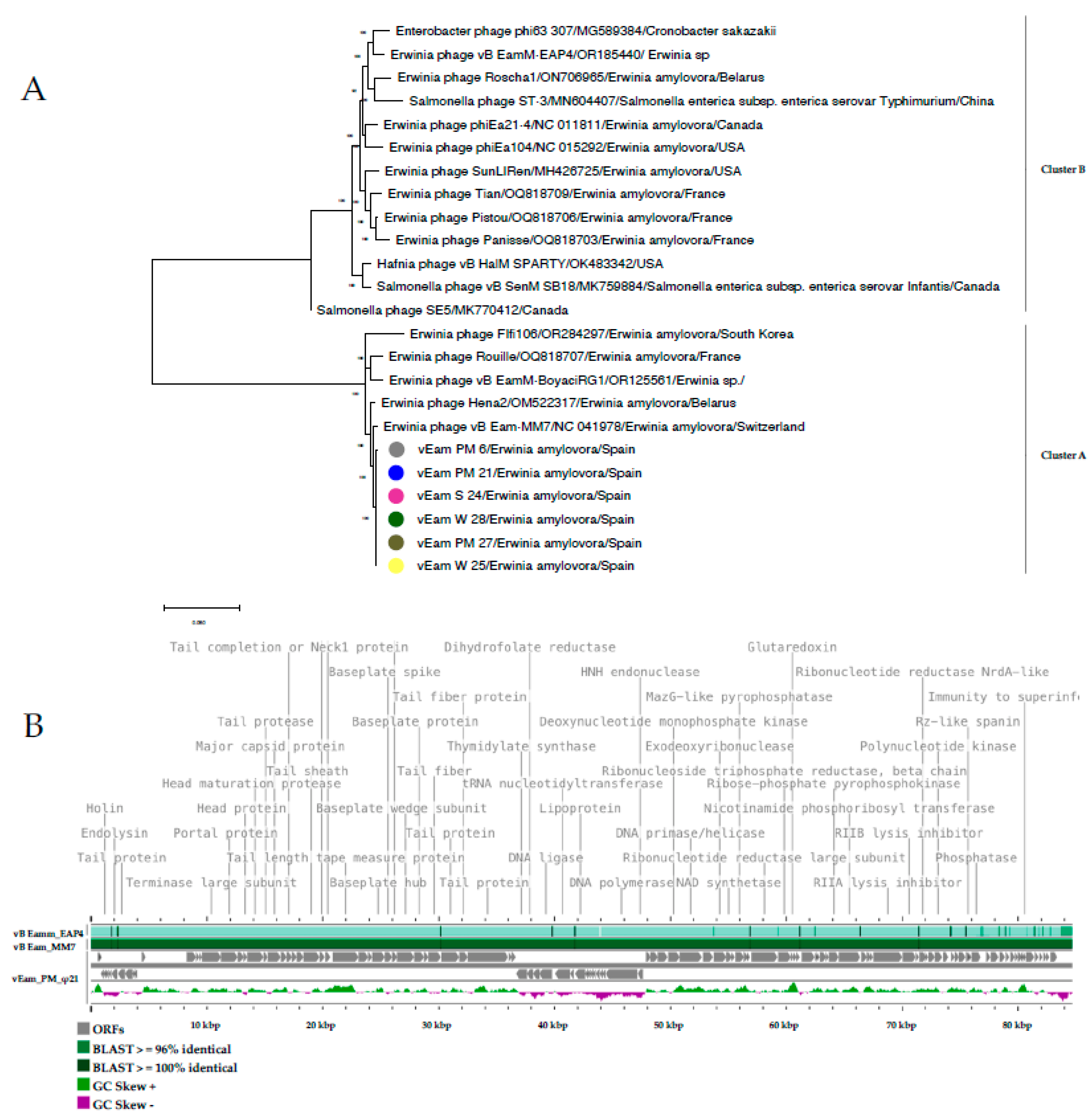 Biology 13 00176 g008 Biology 13 00176 g008