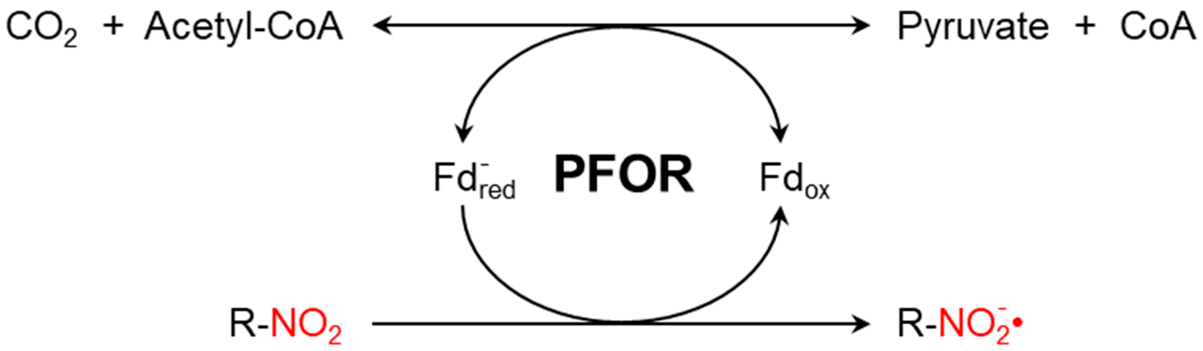 Biology 13 00178 g001