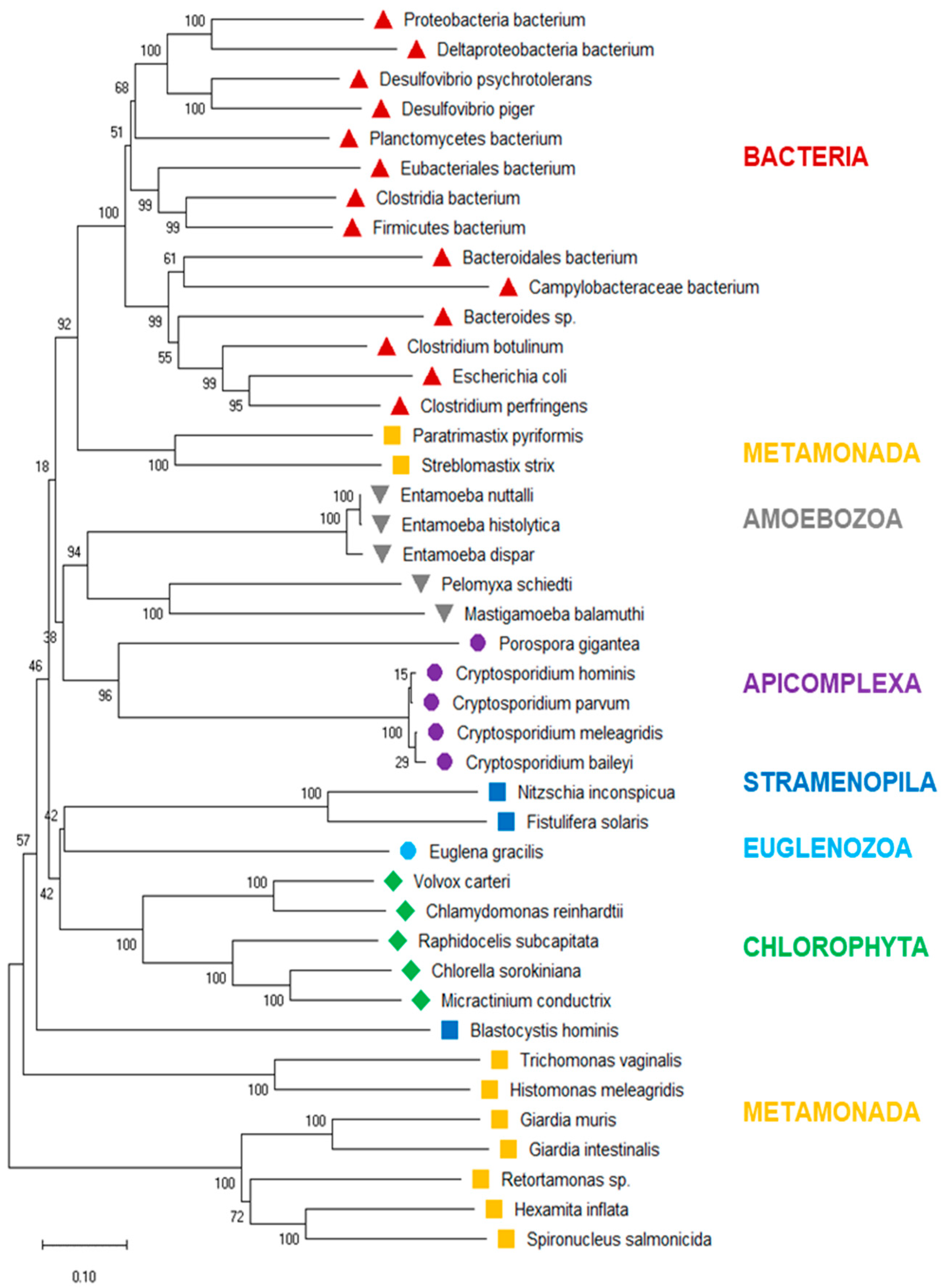 Biology 13 00178 g003