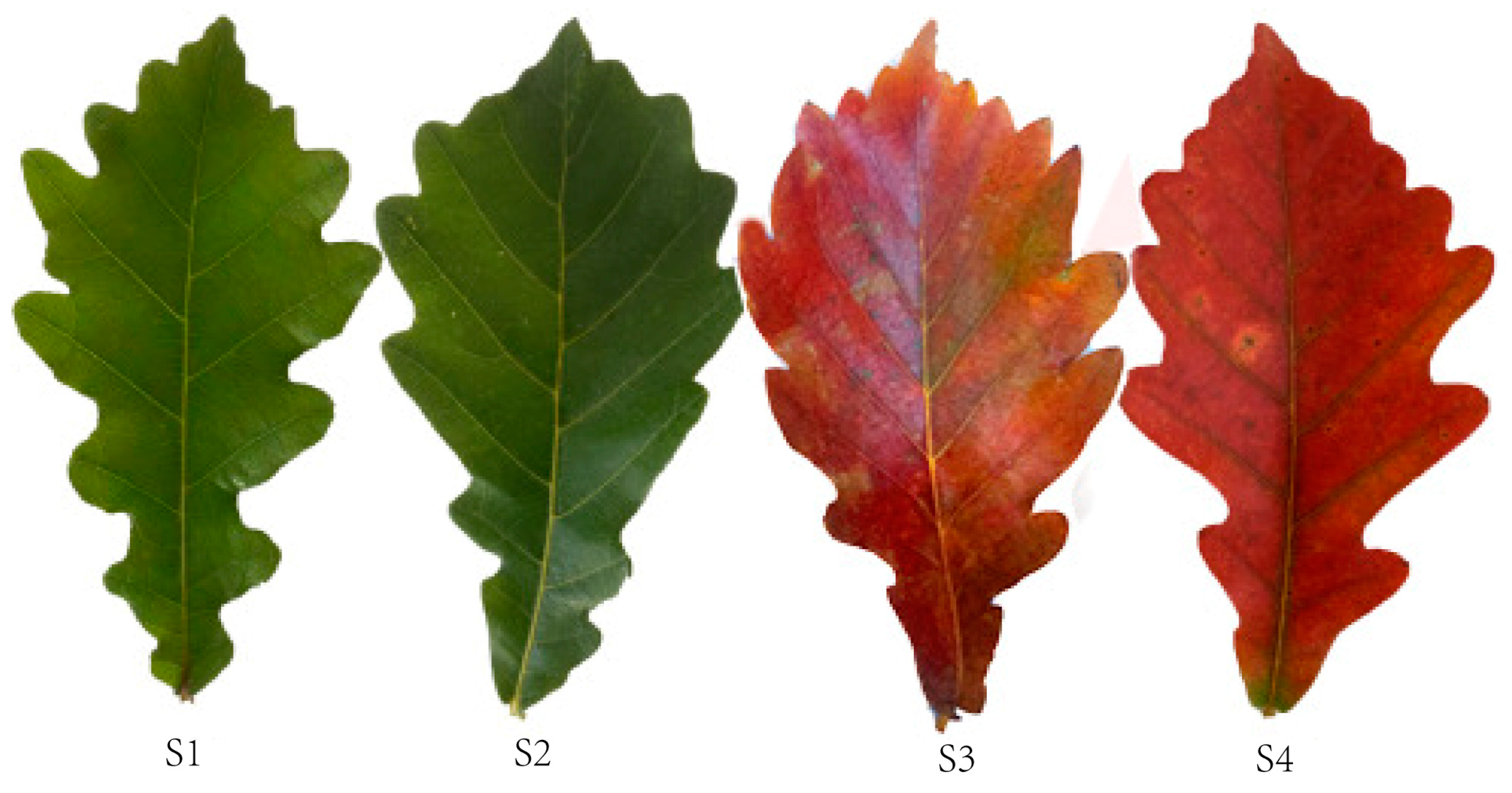 Biology 13 00183 g001