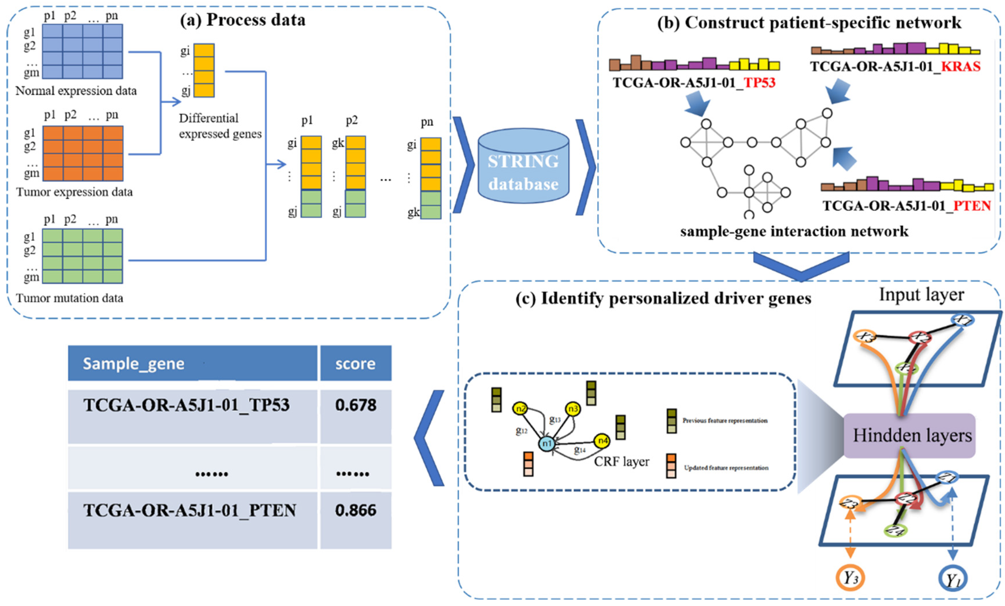 Biology 13 00184 g001