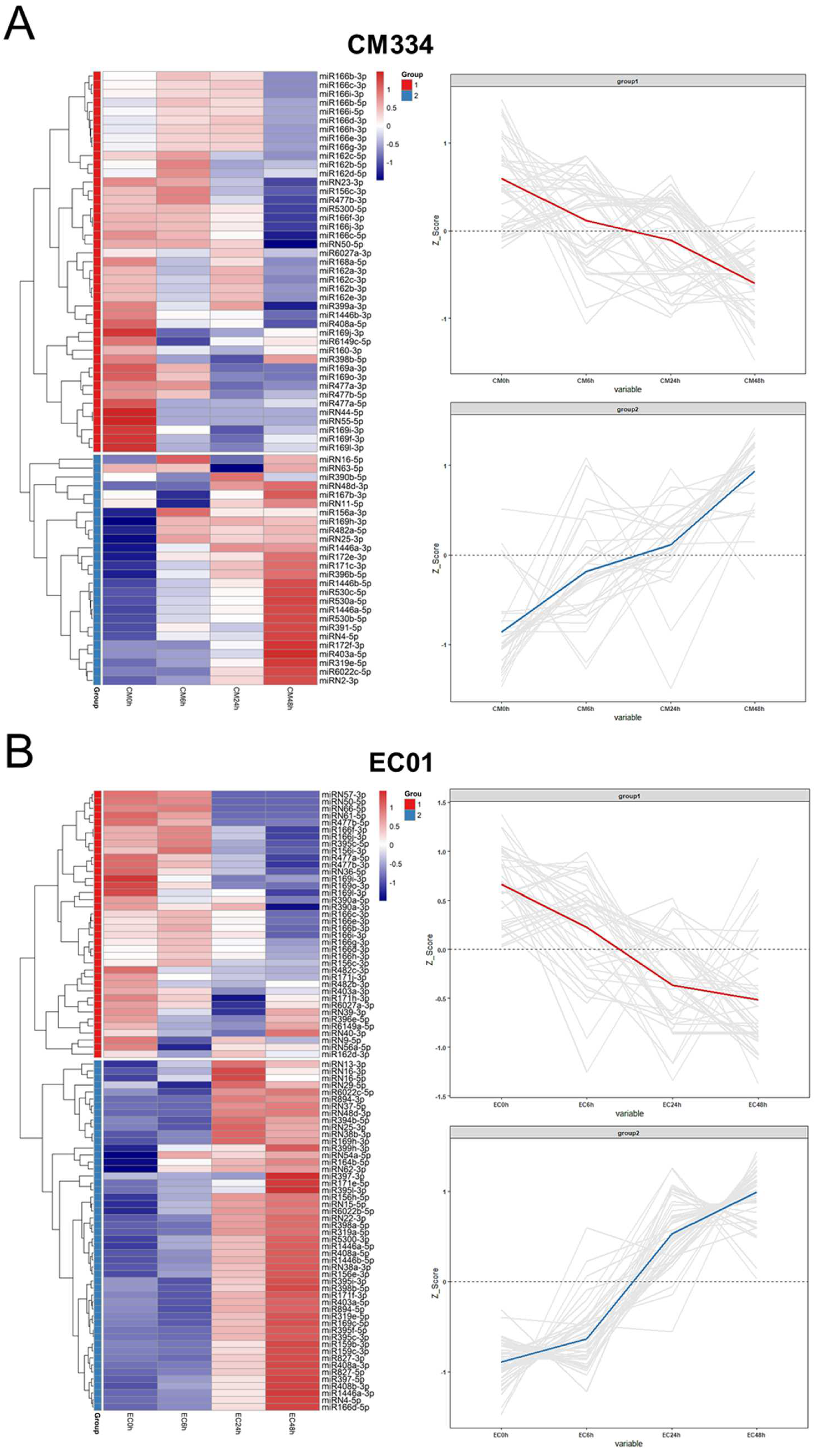 Biology 13 00186 g005