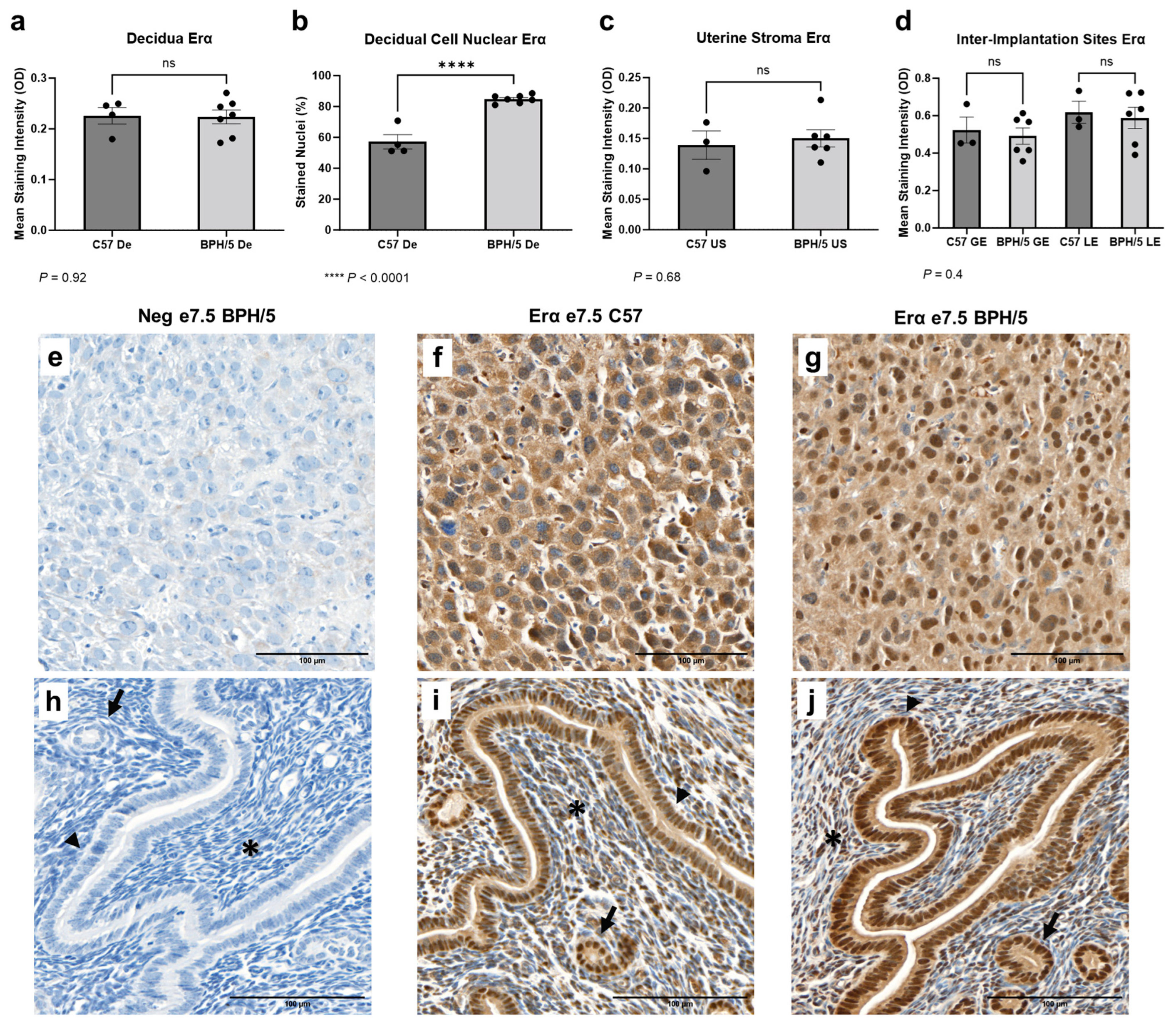 Biology 13 00192 g003