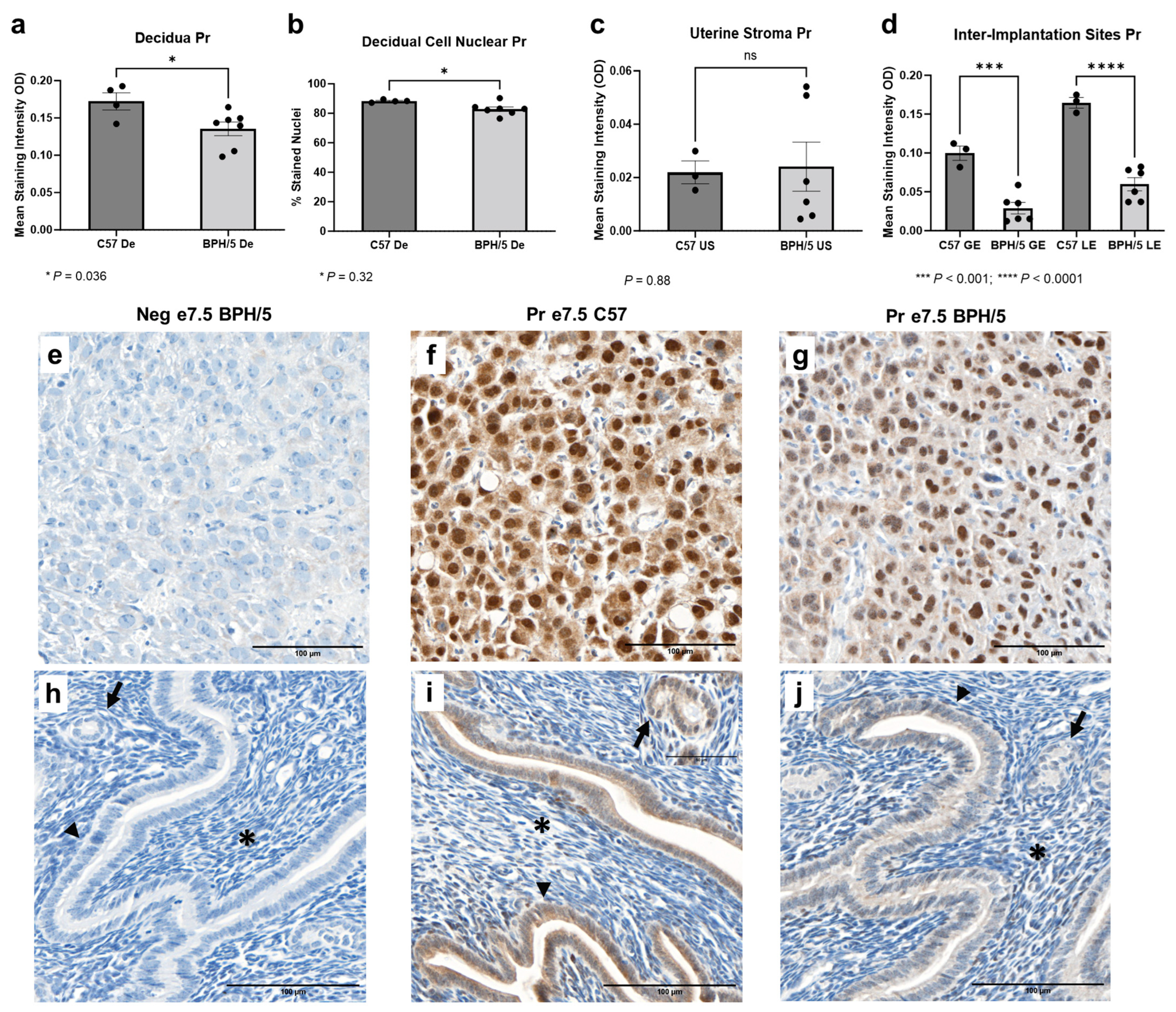 Biology 13 00192 g004