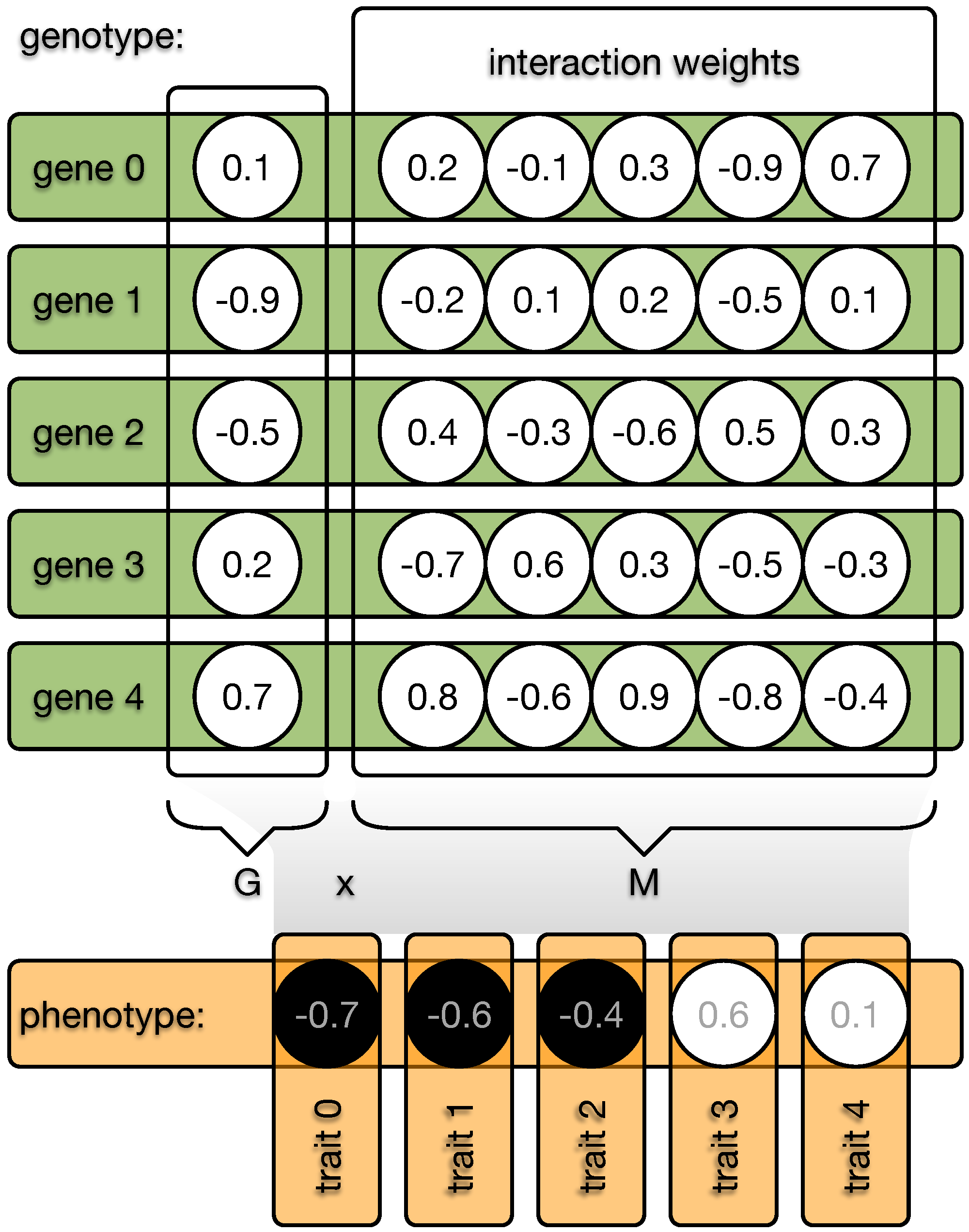 Biology 13 00193 g002