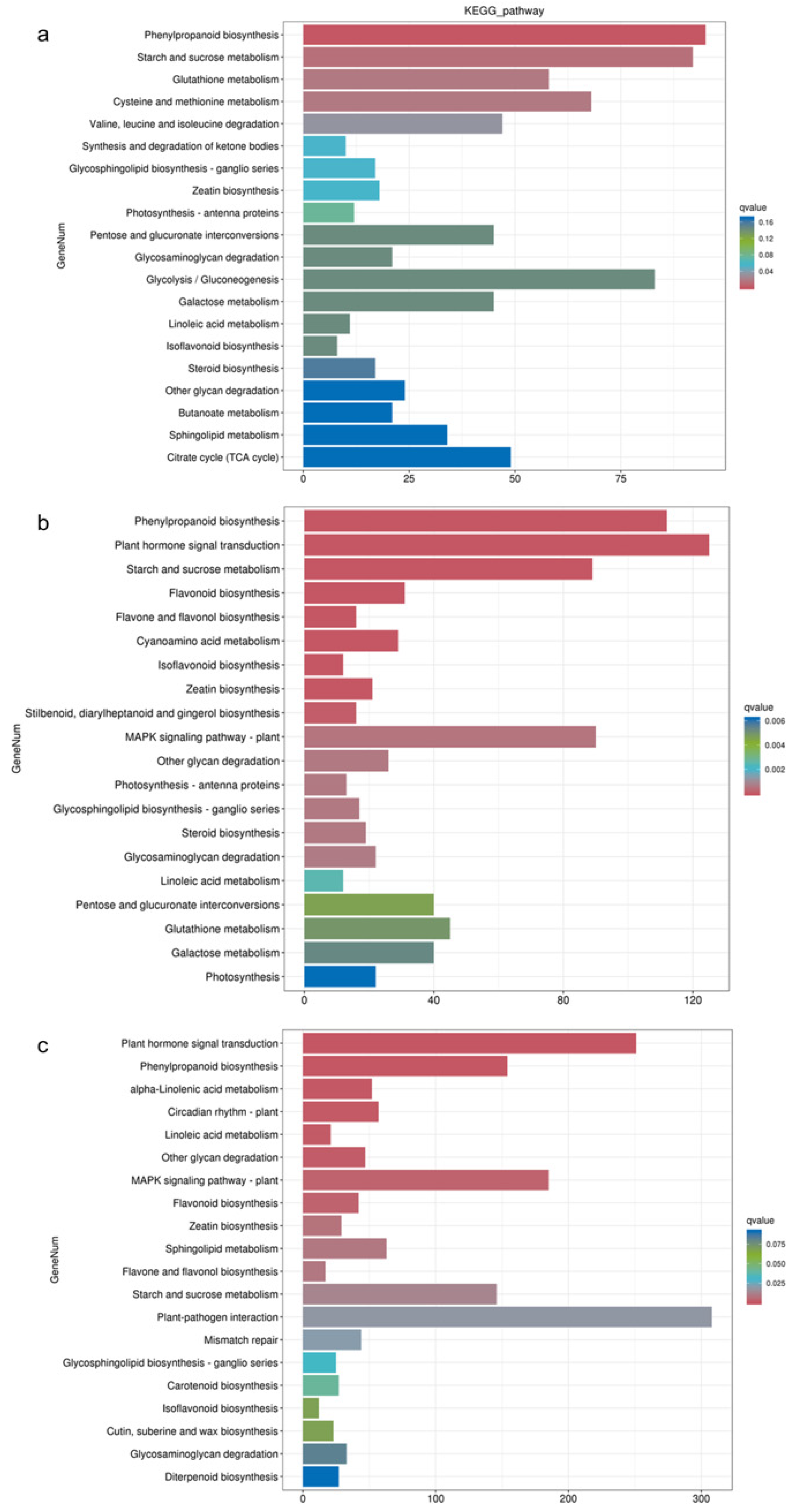 Biology 13 00197 g004