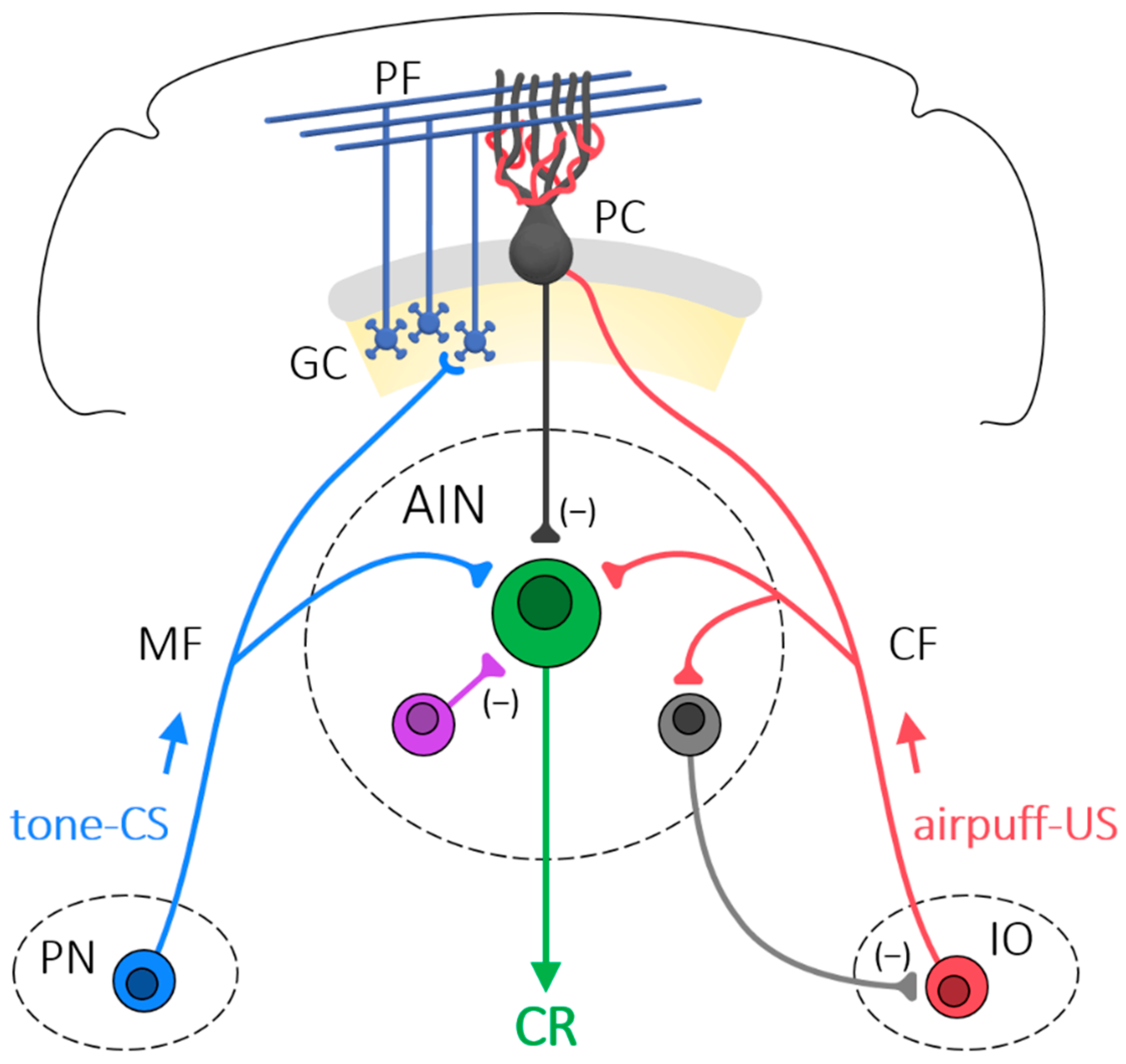 Biology 13 00200 g002
