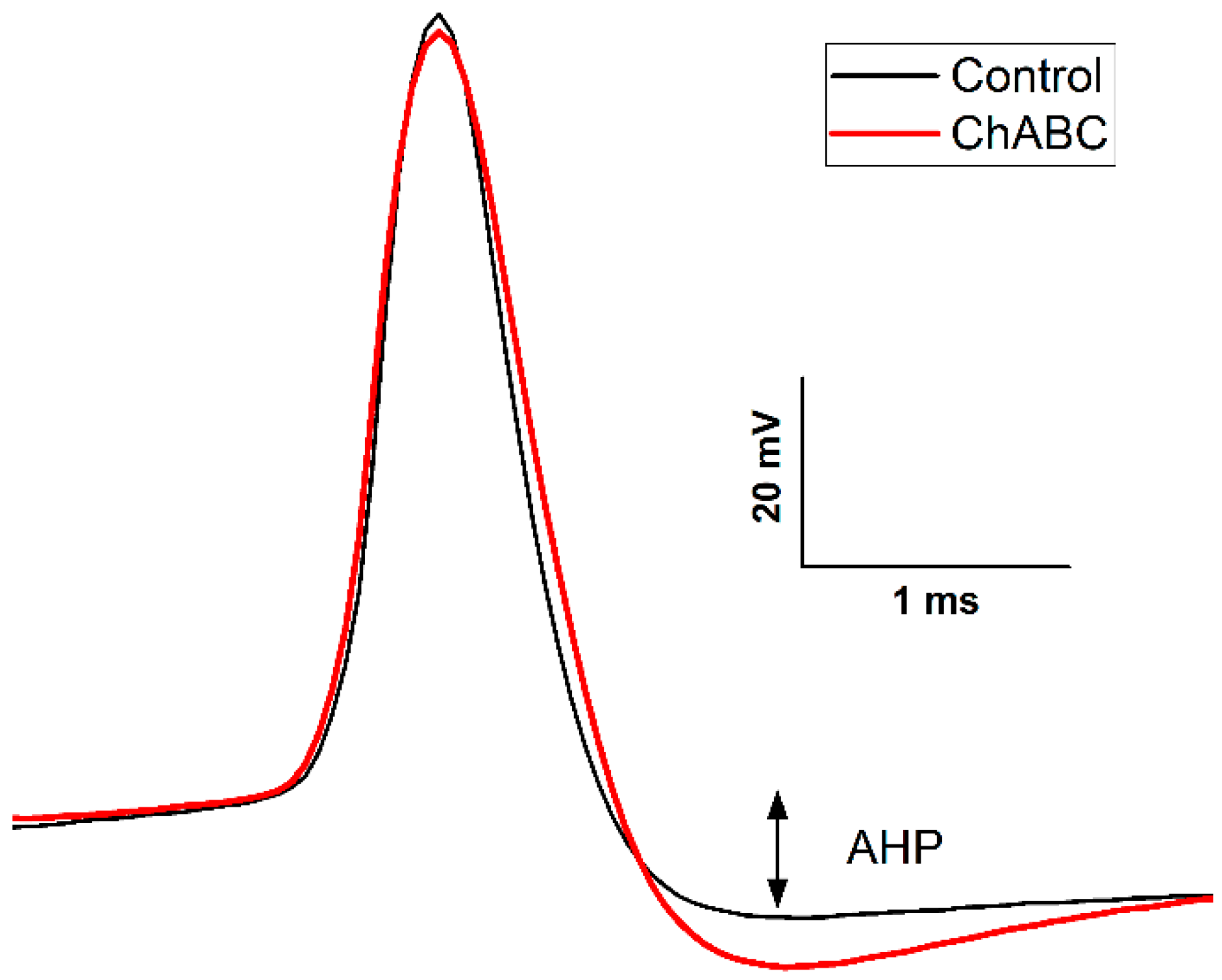 Biology 13 00200 g005