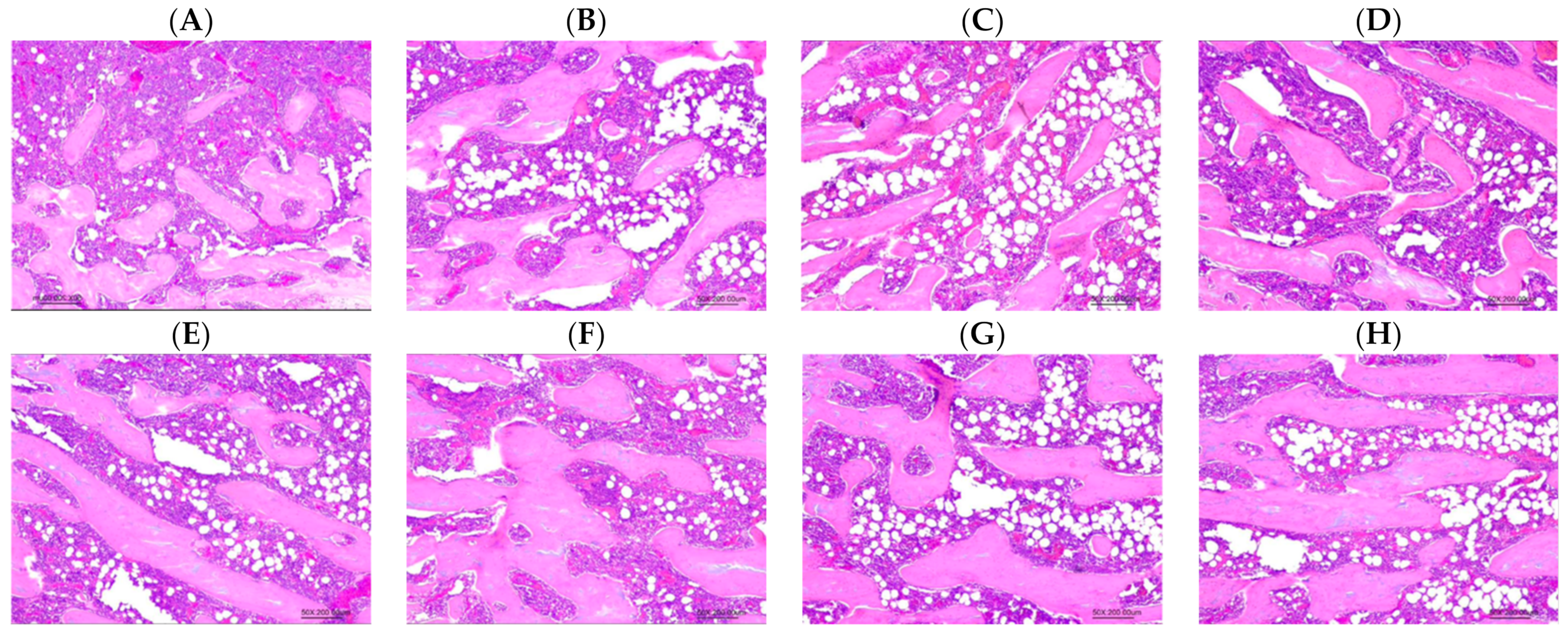 Biology 13 00201 g009