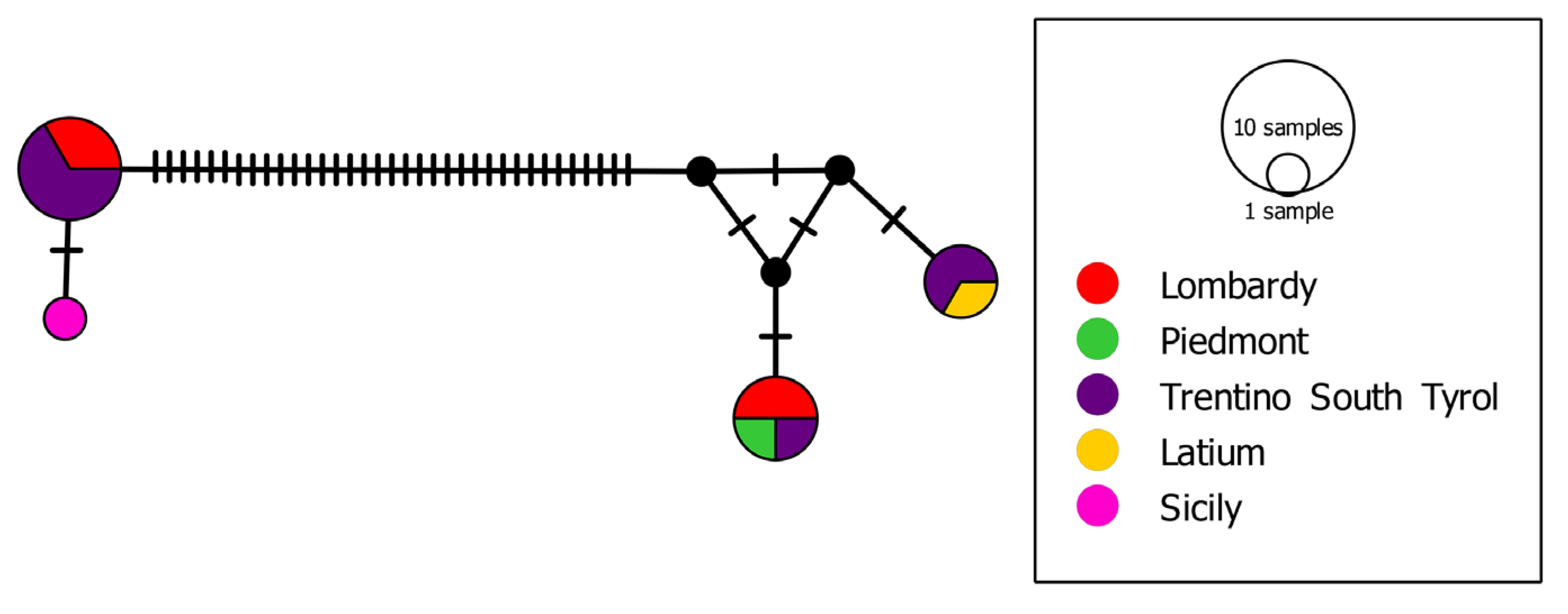 Biology 13 00202 g006