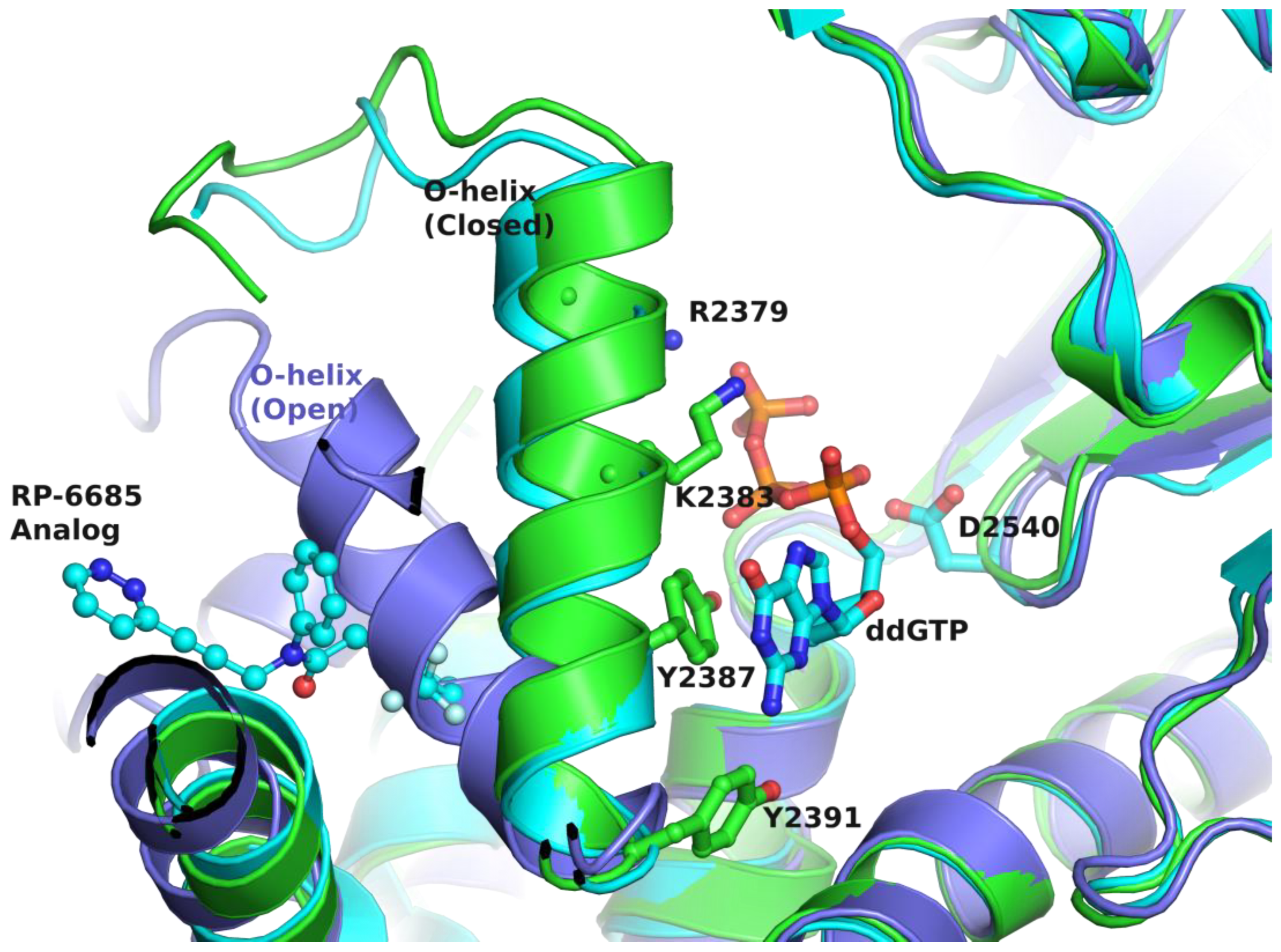 Biology 13 00204 g005
