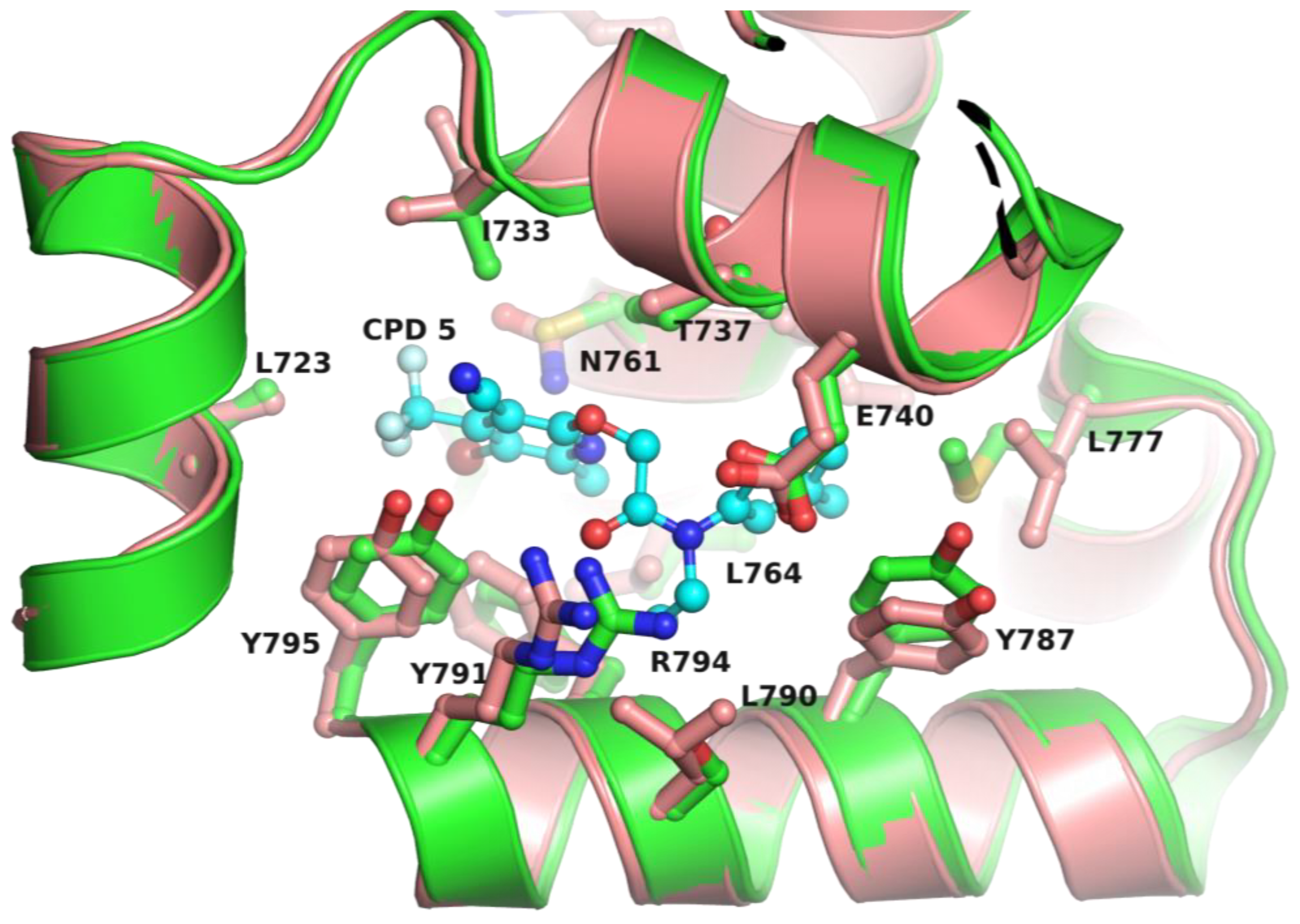 Biology 13 00204 g006