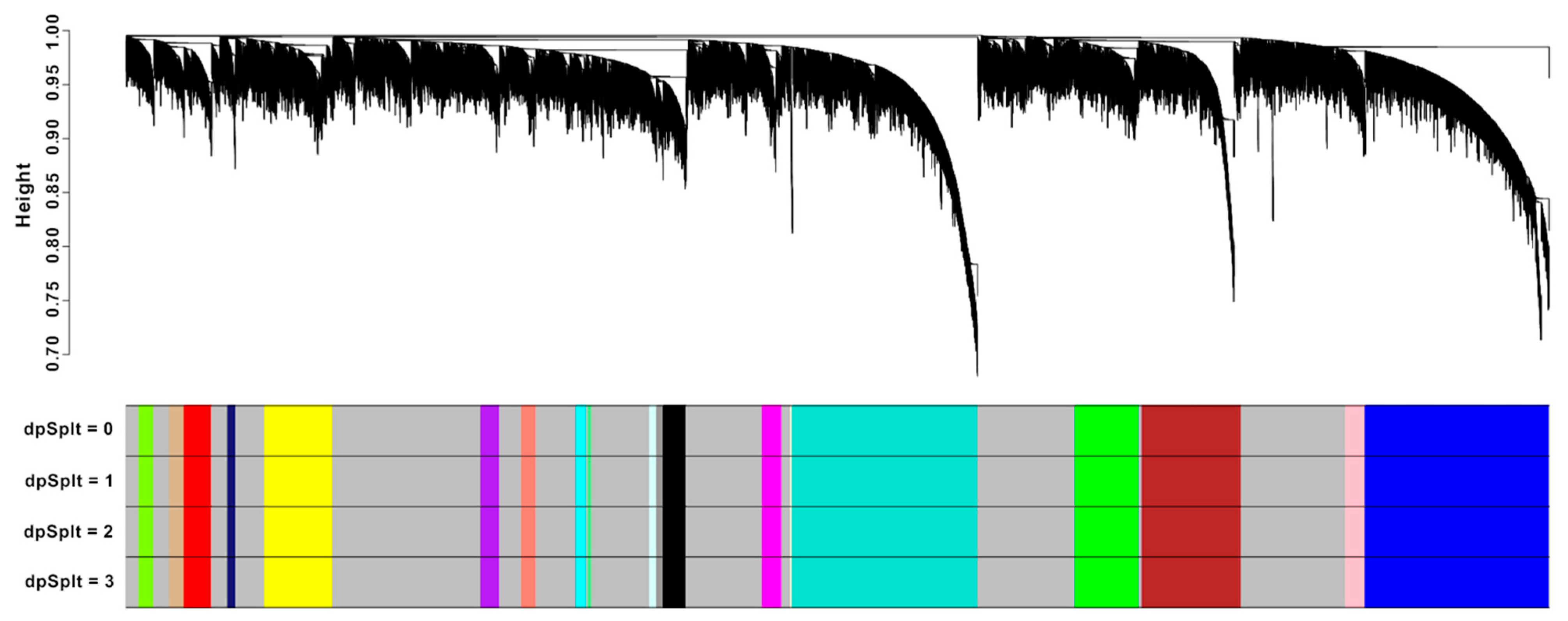 Biology 13 00206 g003