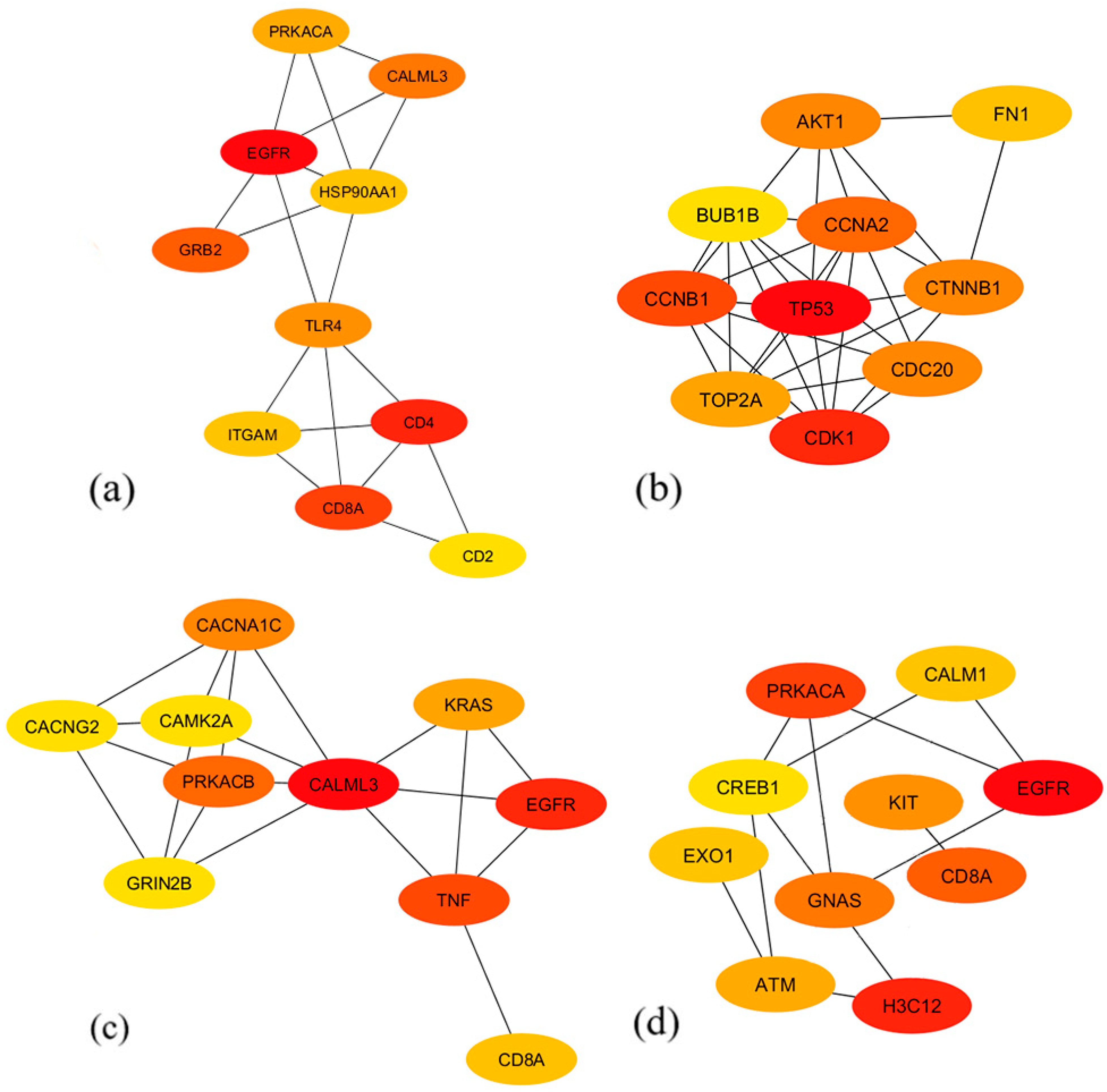 Biology 13 00206 g006