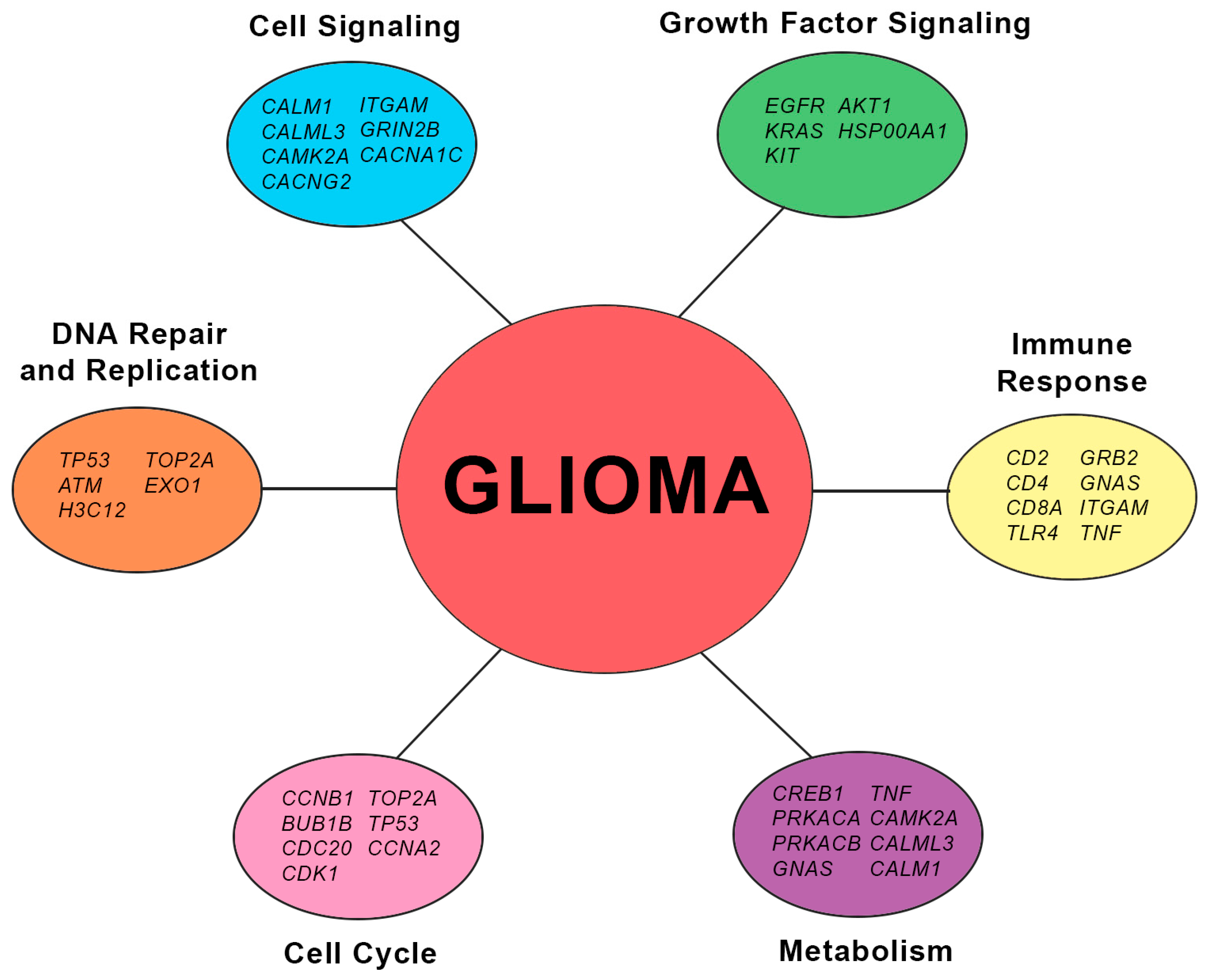 Biology 13 00206 g008