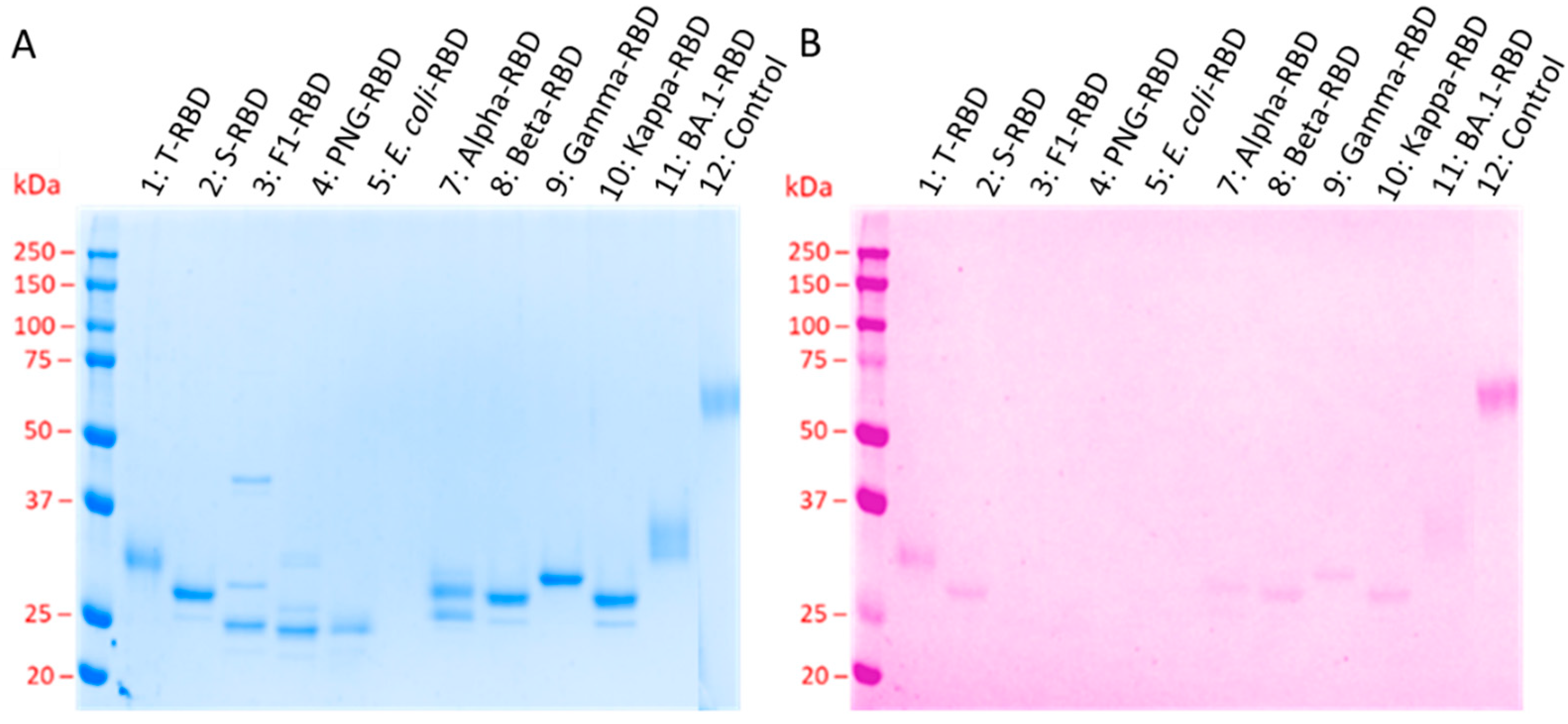 Biology 13 00207 g001