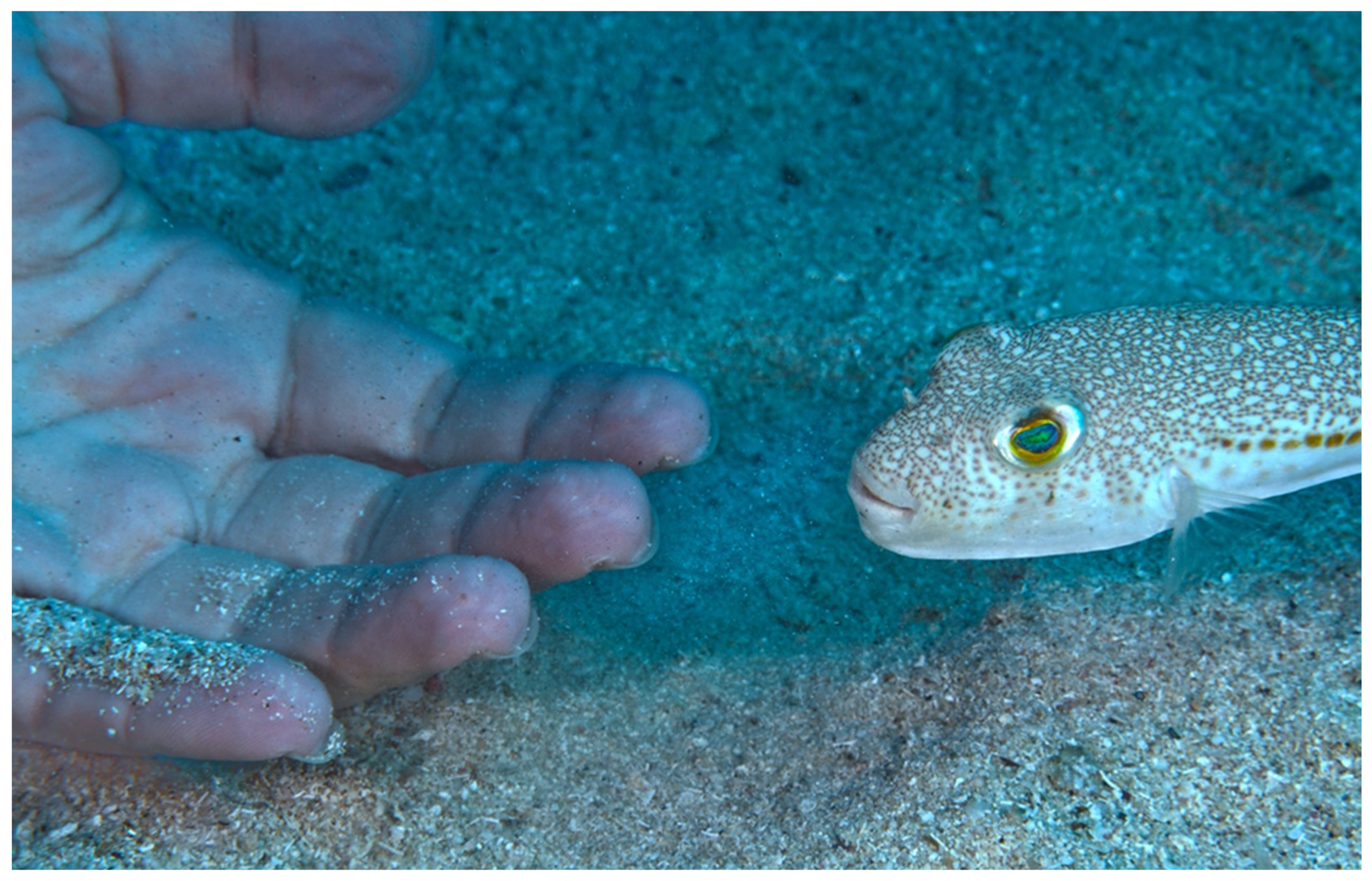 Biology 13 00208 g005