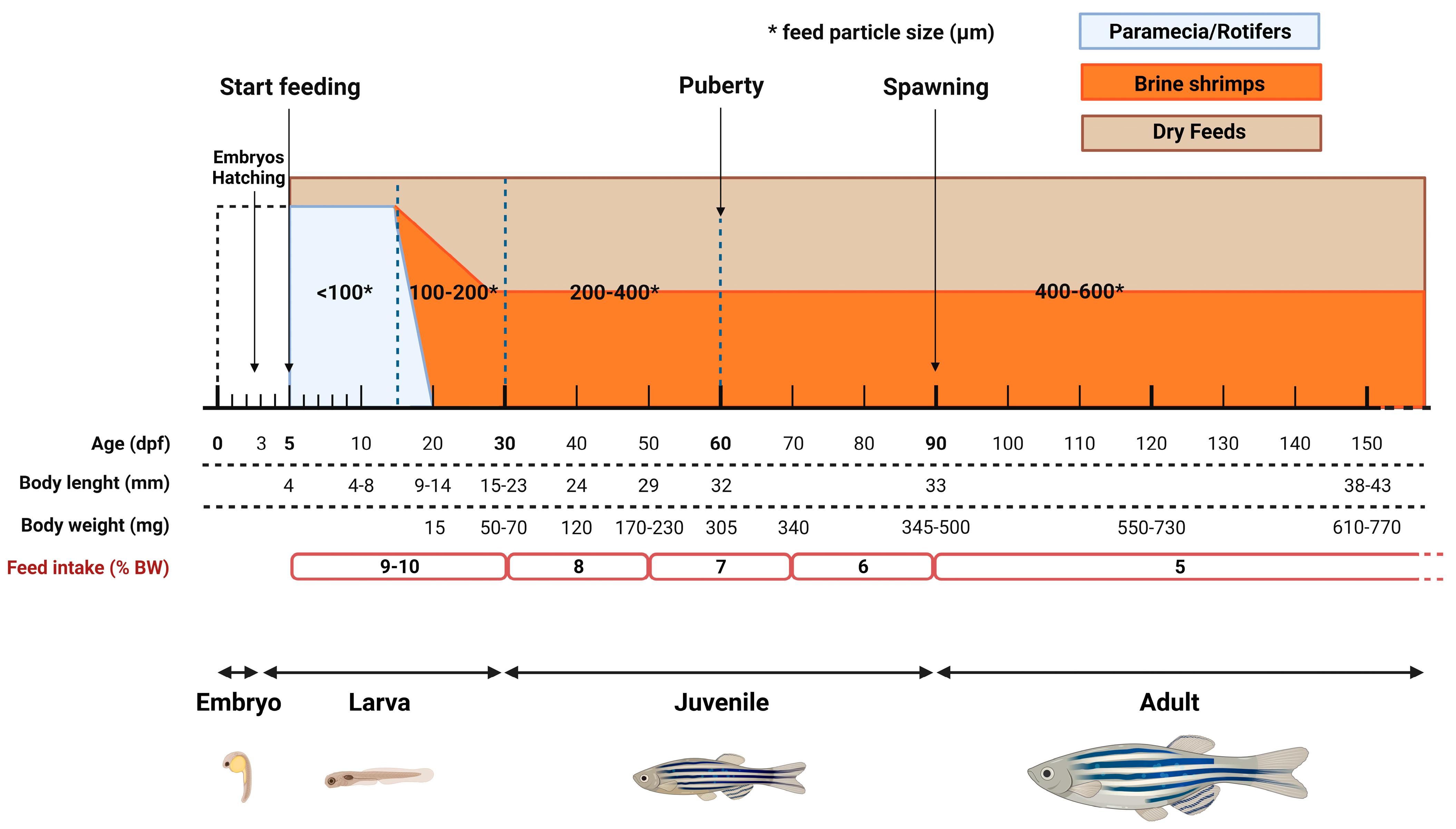 Biology 13 00209 g006