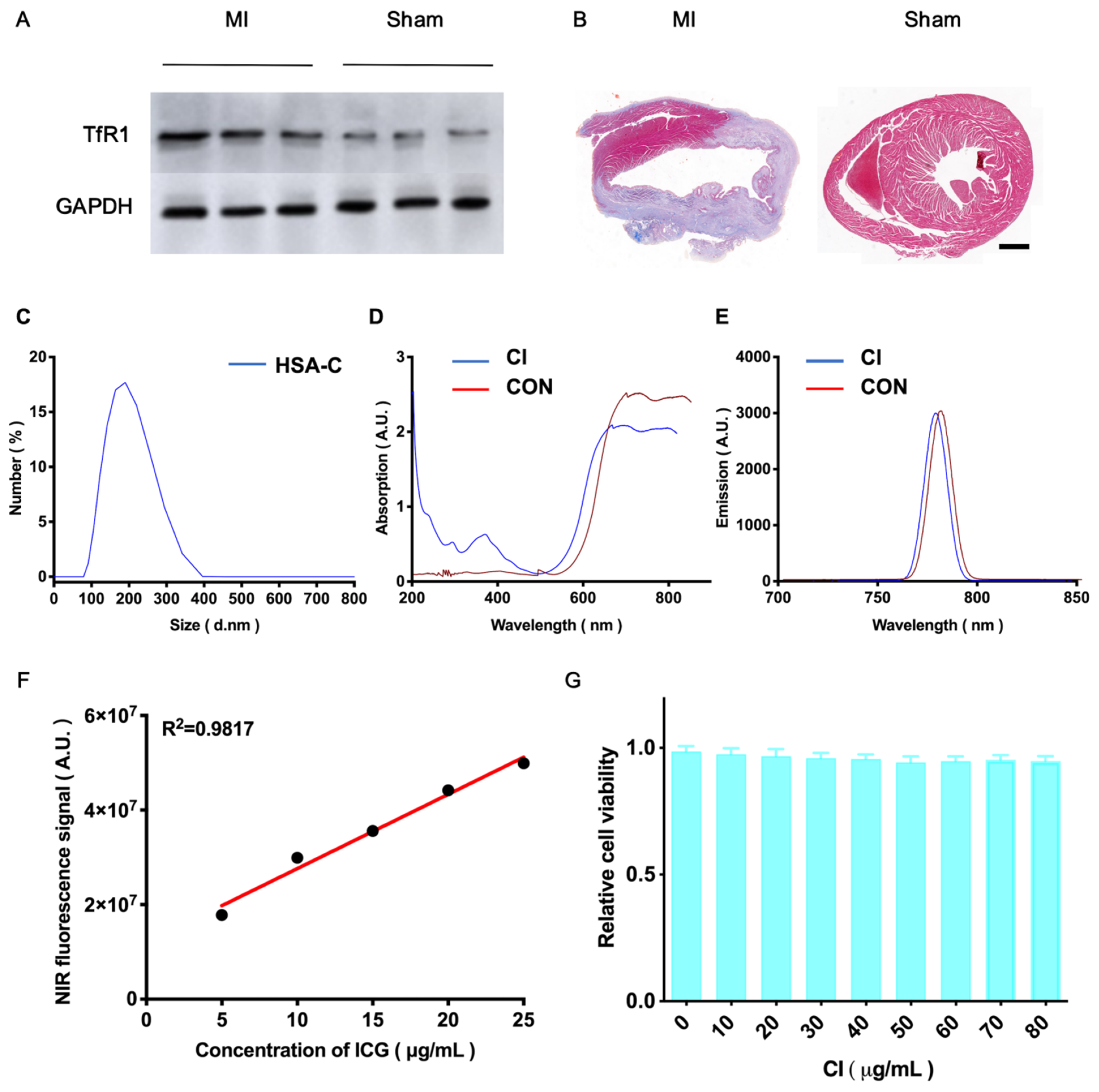 Biology 13 00213 g001