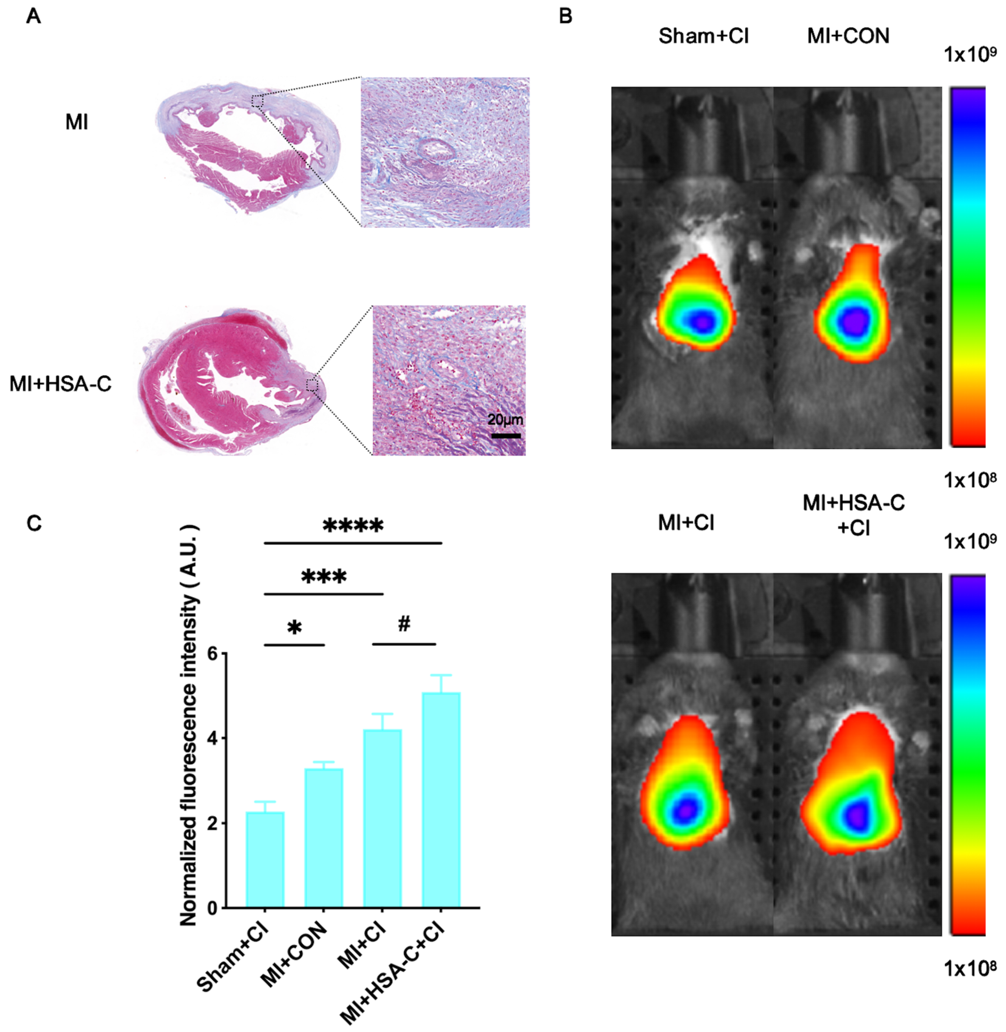 Biology 13 00213 g002