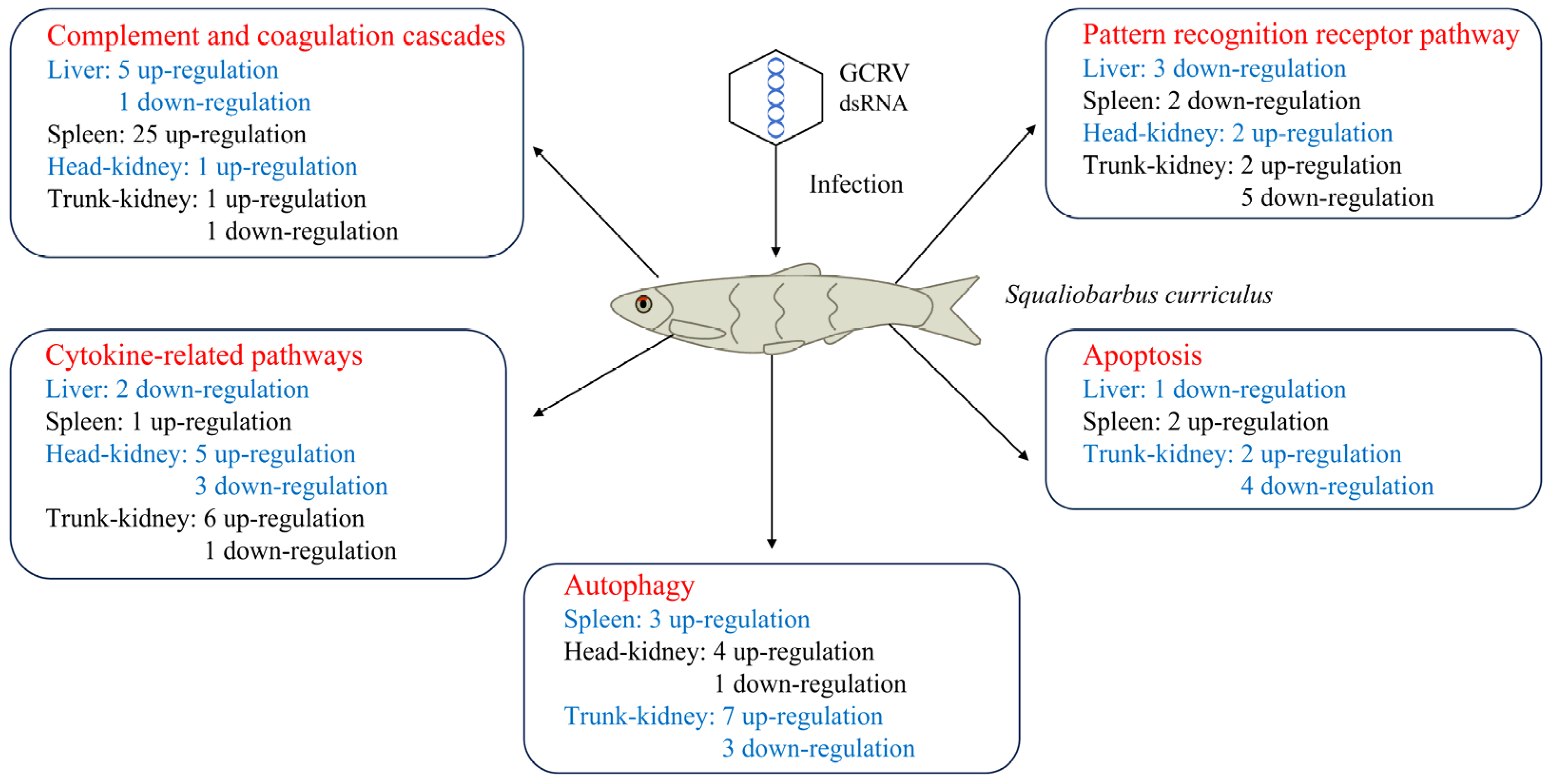 Biology 13 00214 g006
