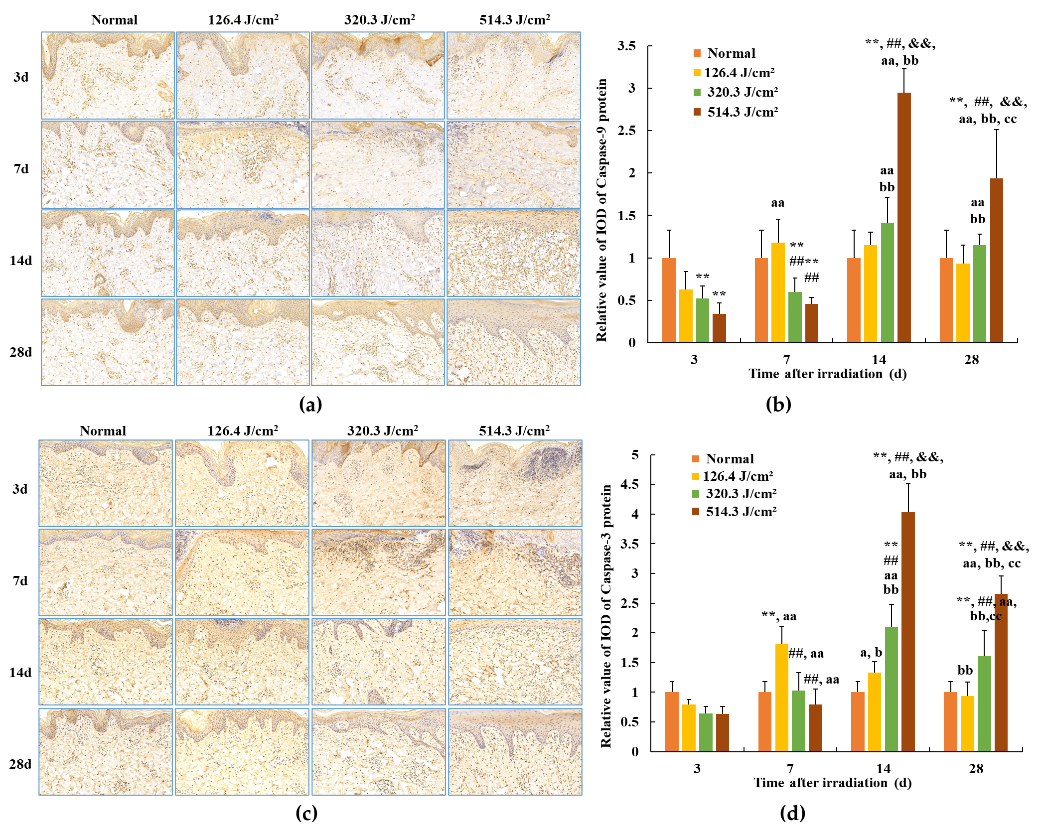 Biology 13 00217 g009