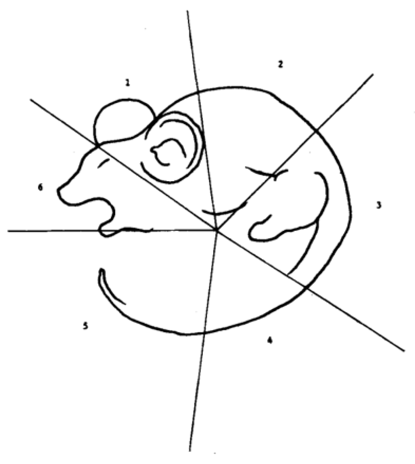 Biology 13 00220 g002 Biology 13 00220 g002