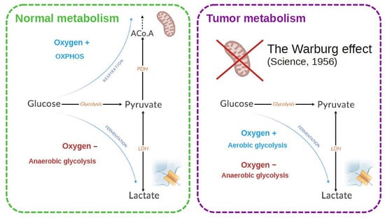 Biology 13 00225 g001