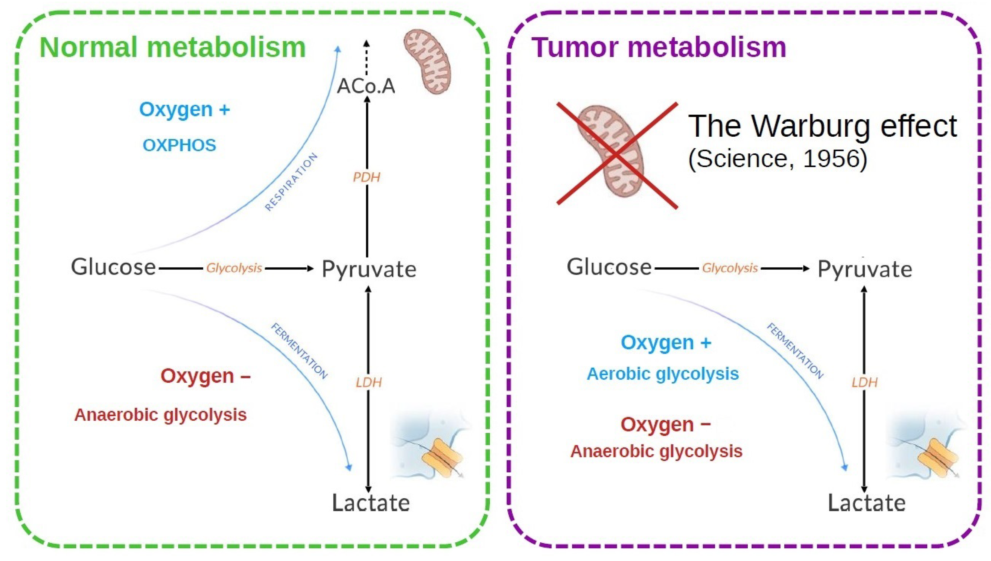 Biology 13 00225 g001
