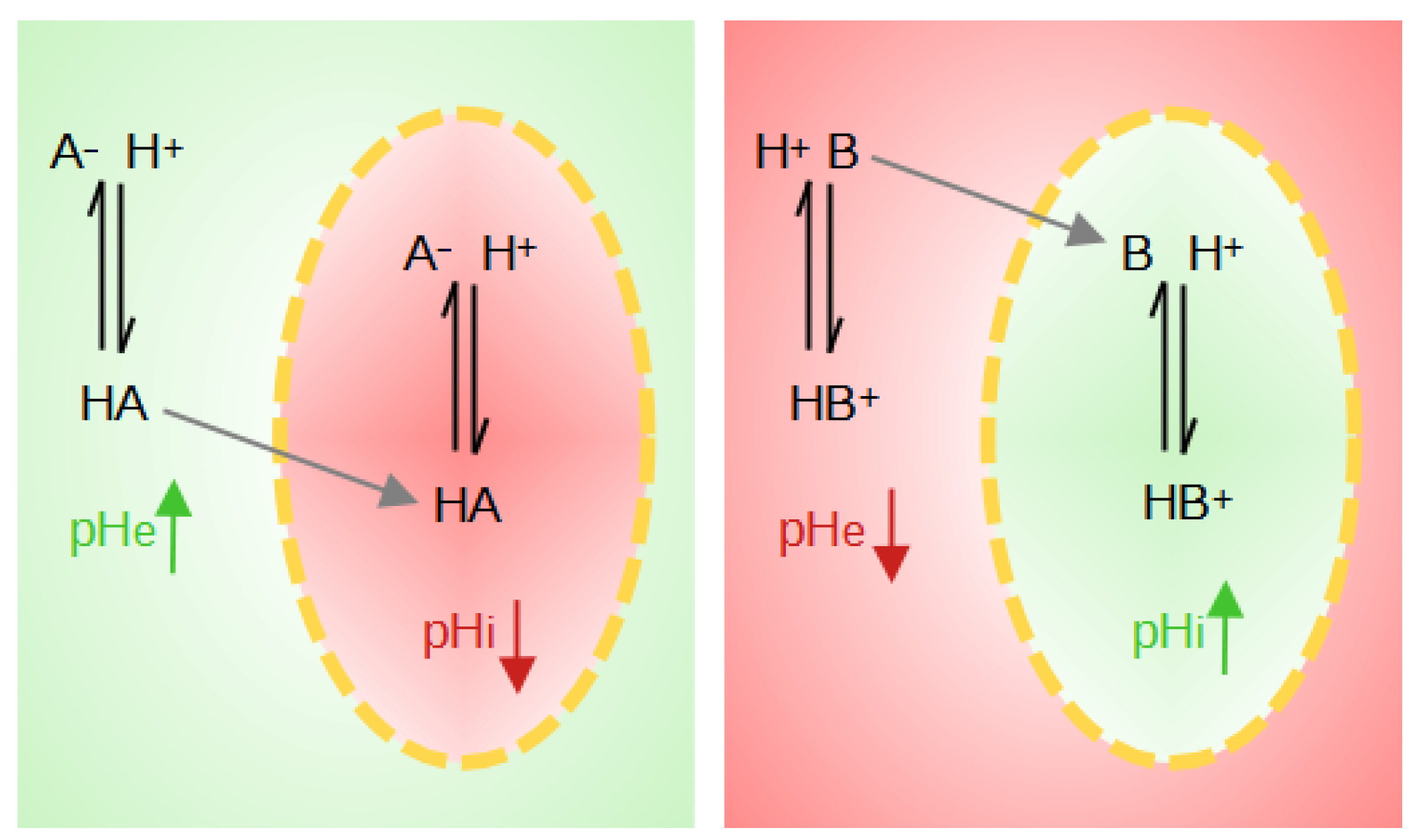 Biology 13 00225 g004