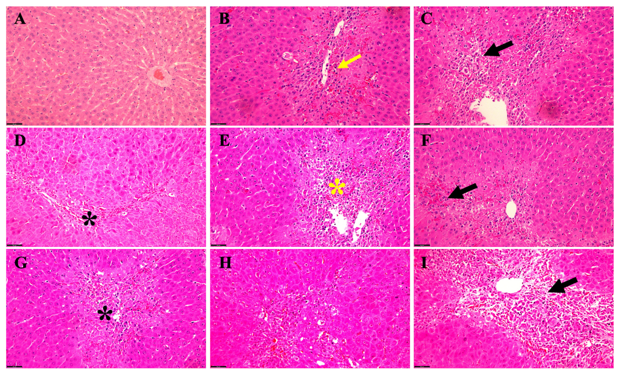 Biology 13 00228 g003 Biology 13 00228 g003