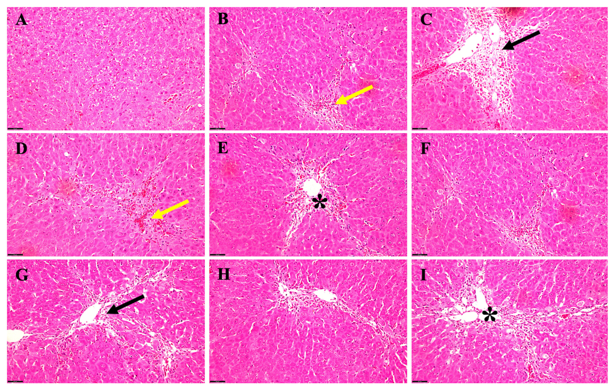Biology 13 00228 g004 Biology 13 00228 g004