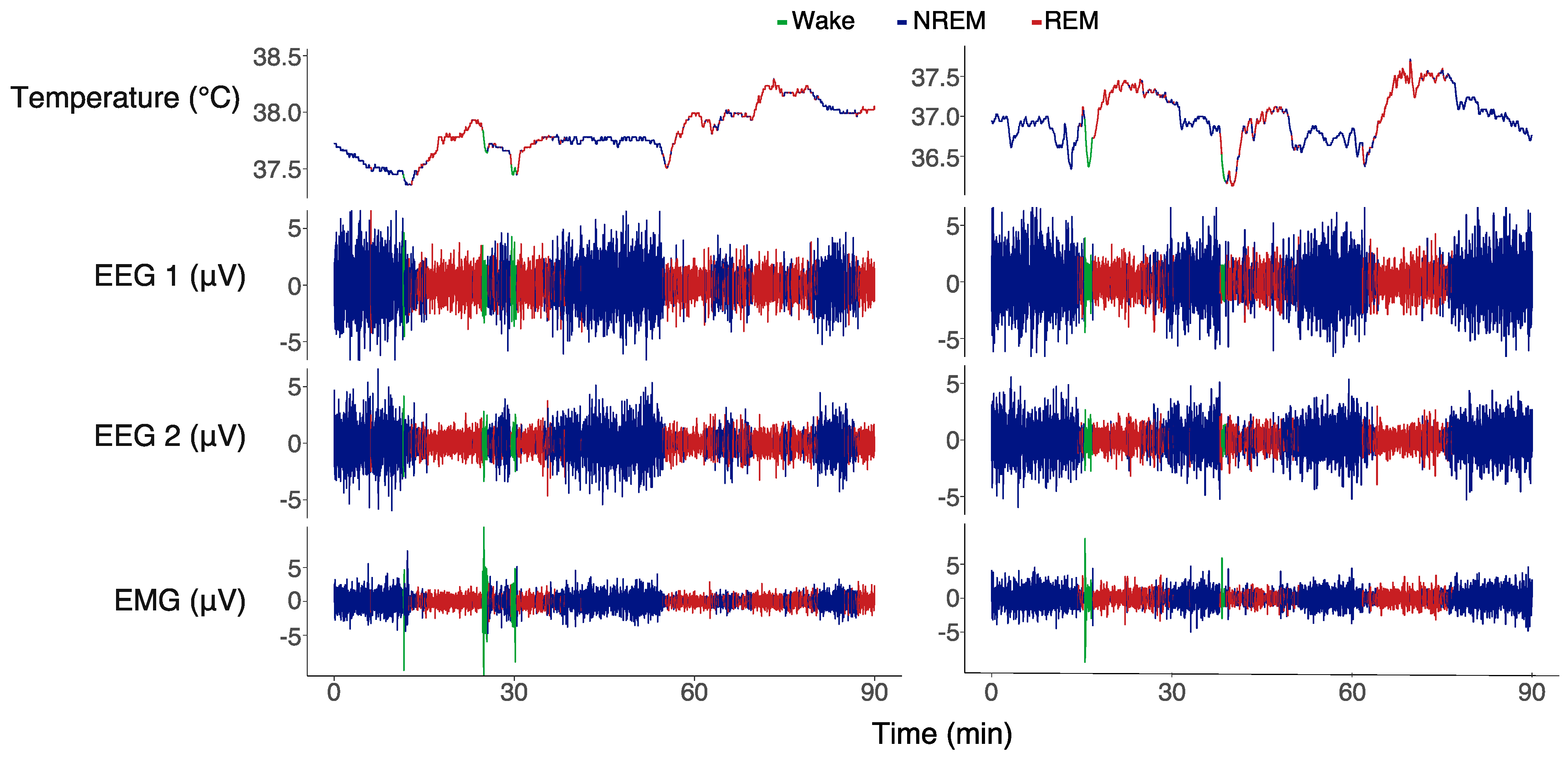 Biology 13 00229 g001