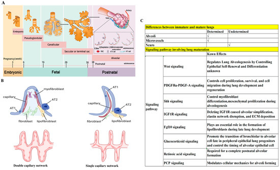 Biology 13 00234 g002