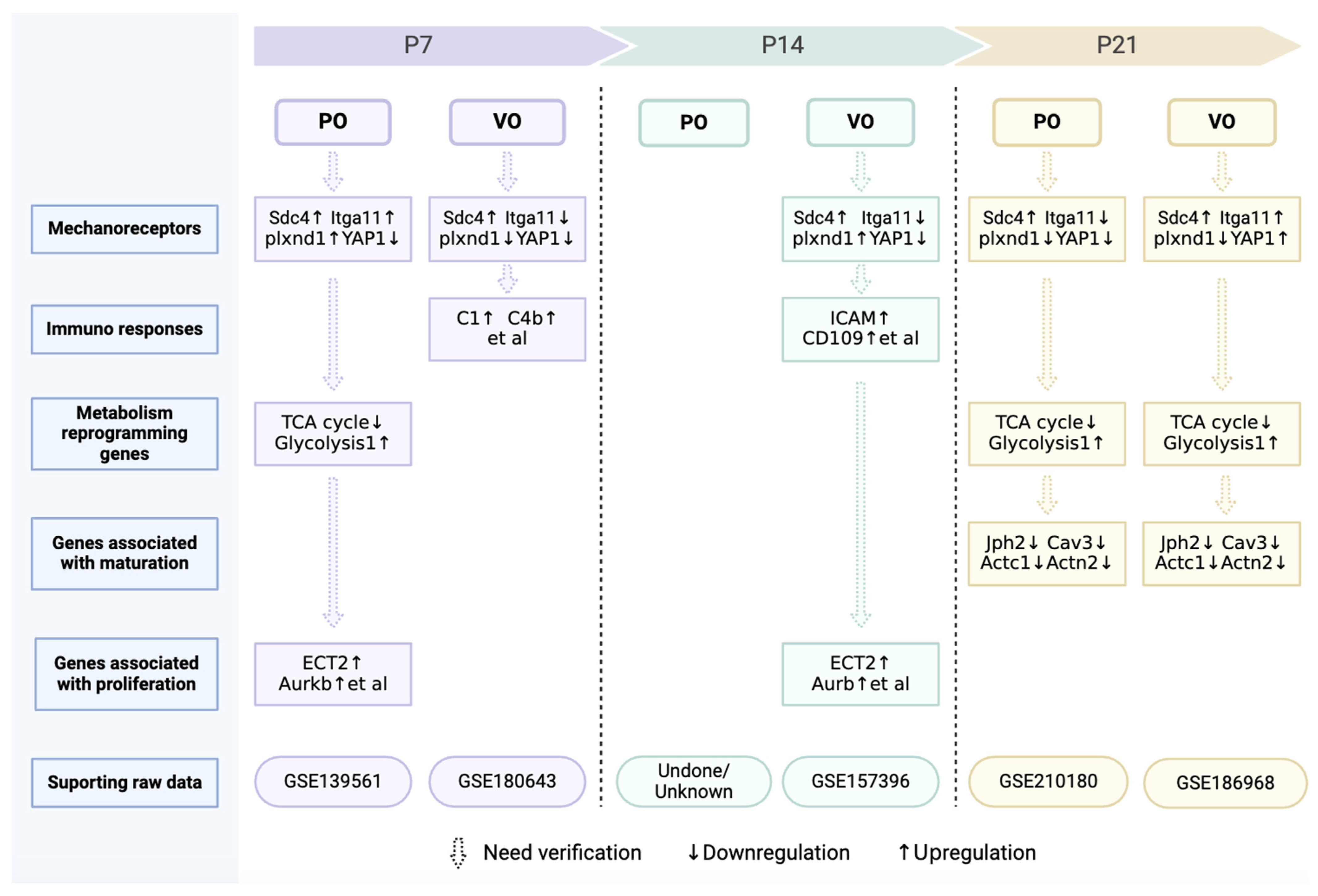 Biology 13 00234 g005