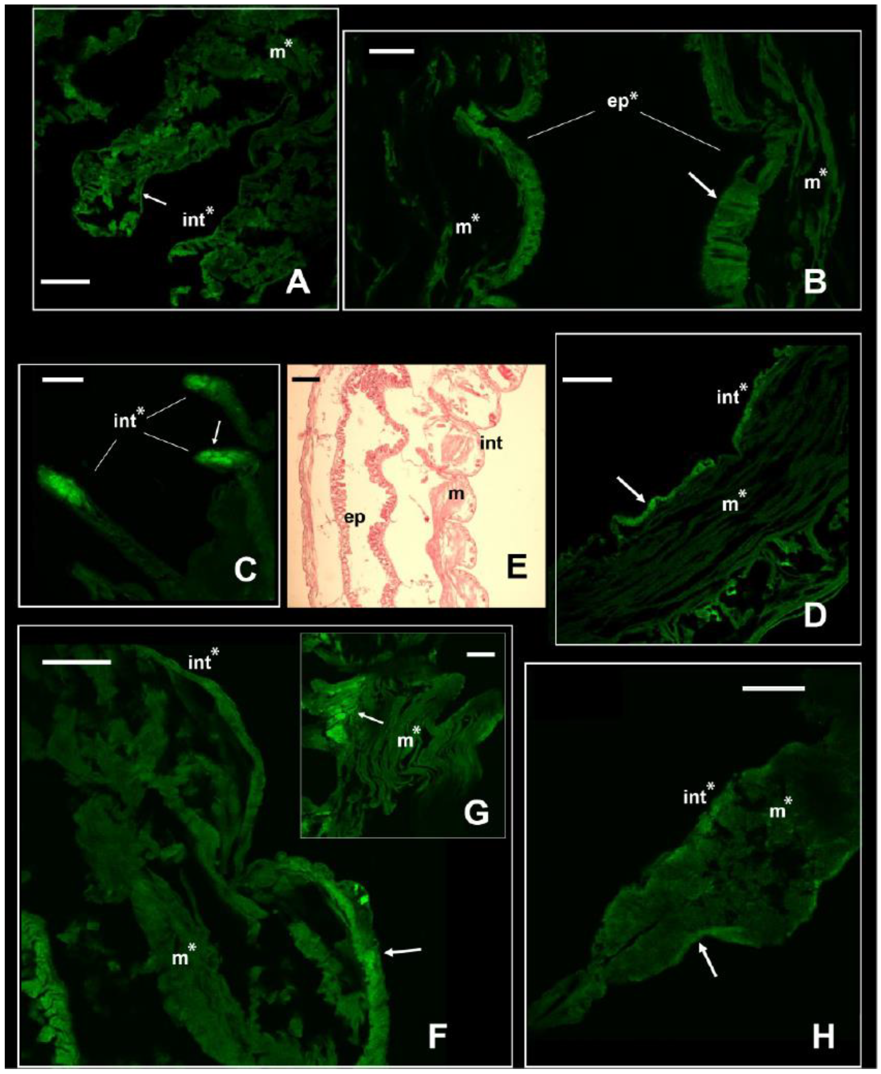 Biology 13 00235 g003