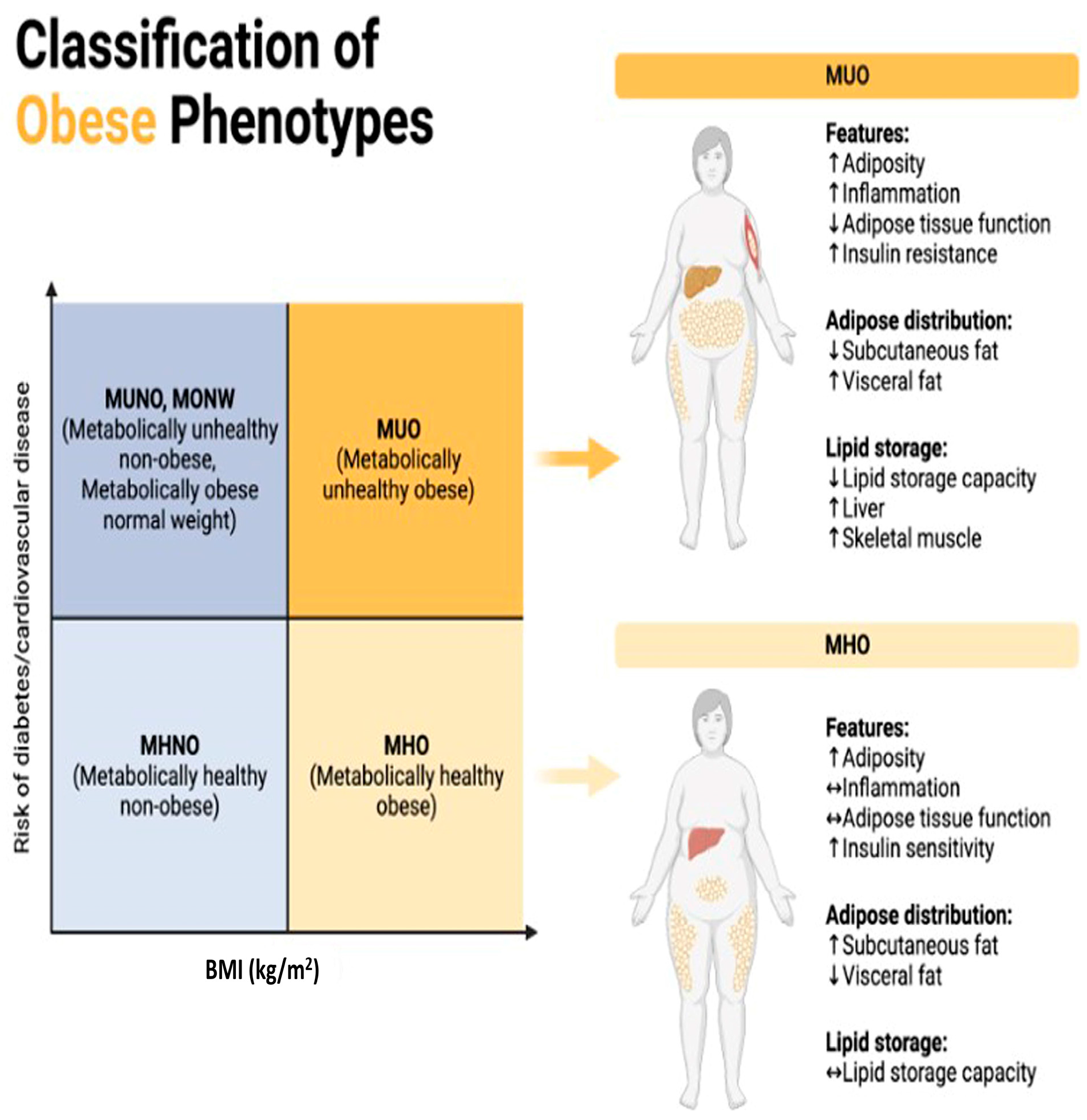 Biology 13 00241 g001