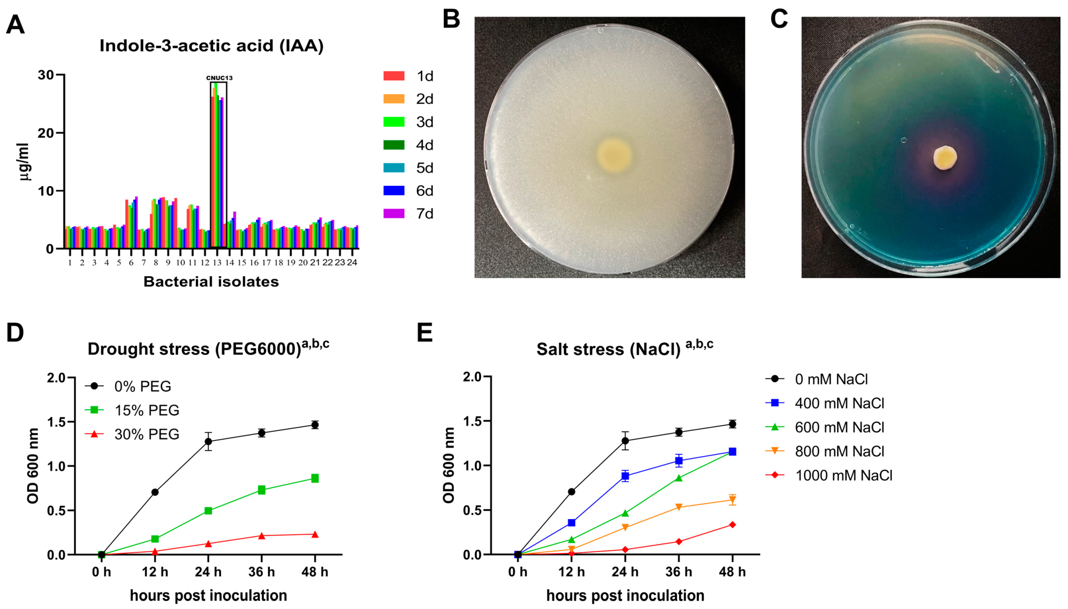 Biology 13 00244 g001