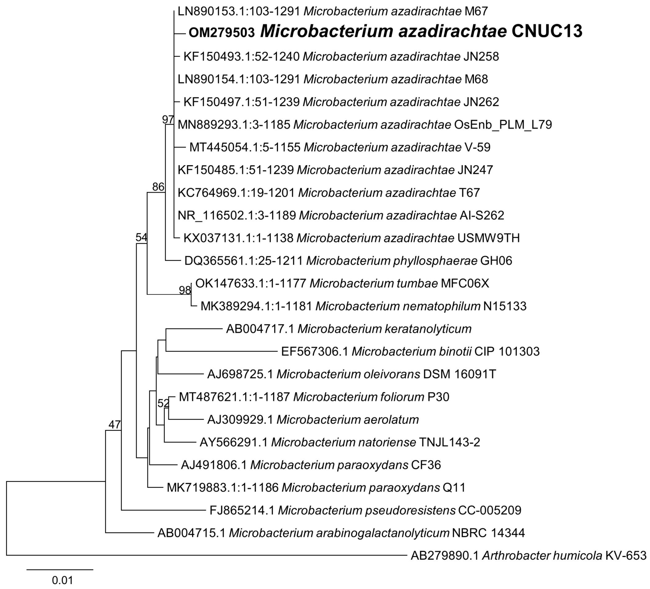 Biology 13 00244 g002