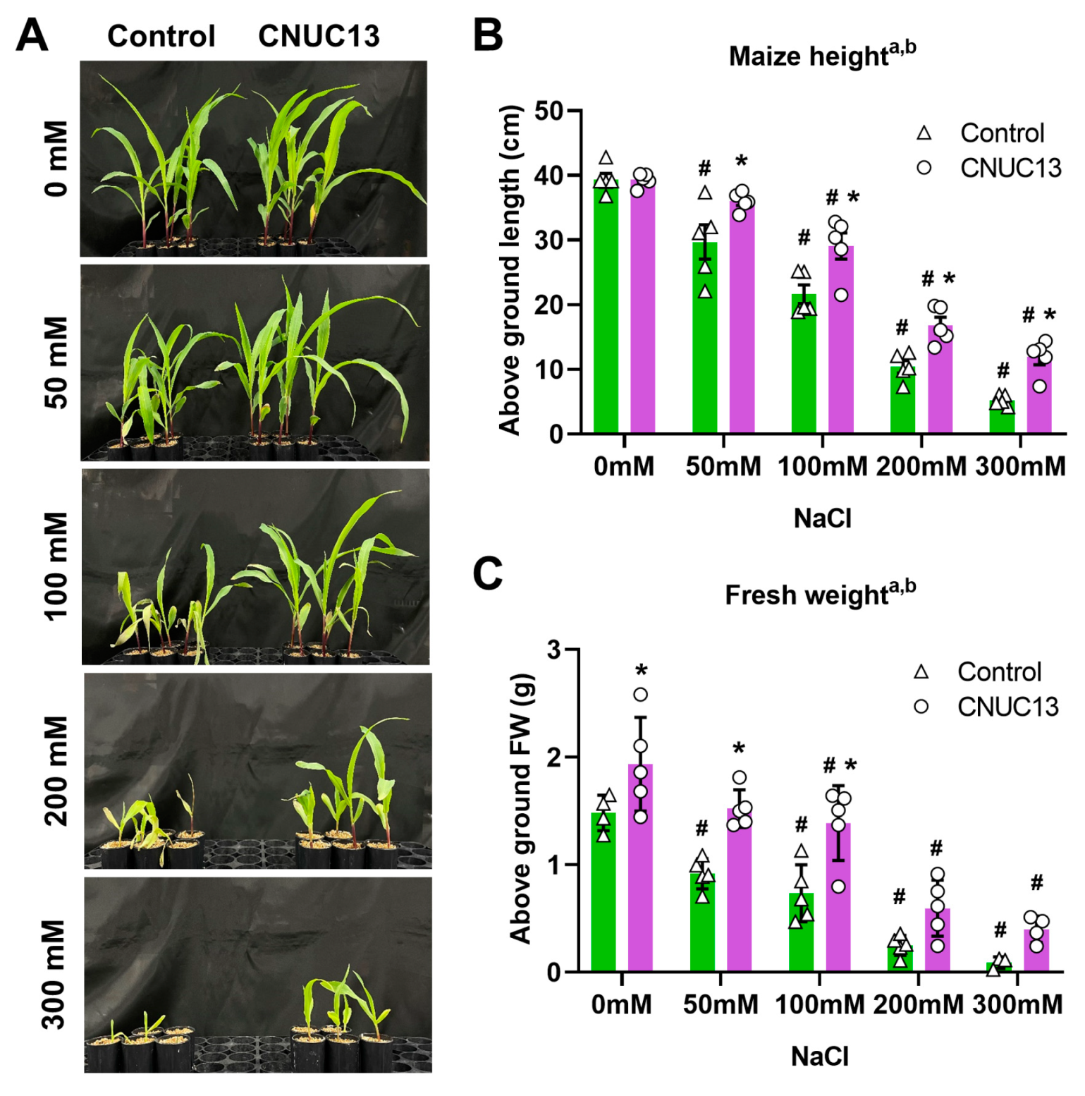 Biology 13 00244 g004