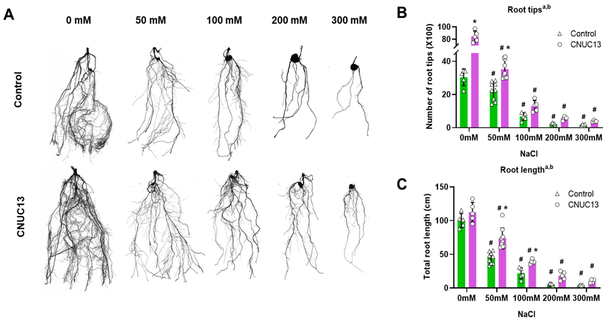 Biology 13 00244 g005