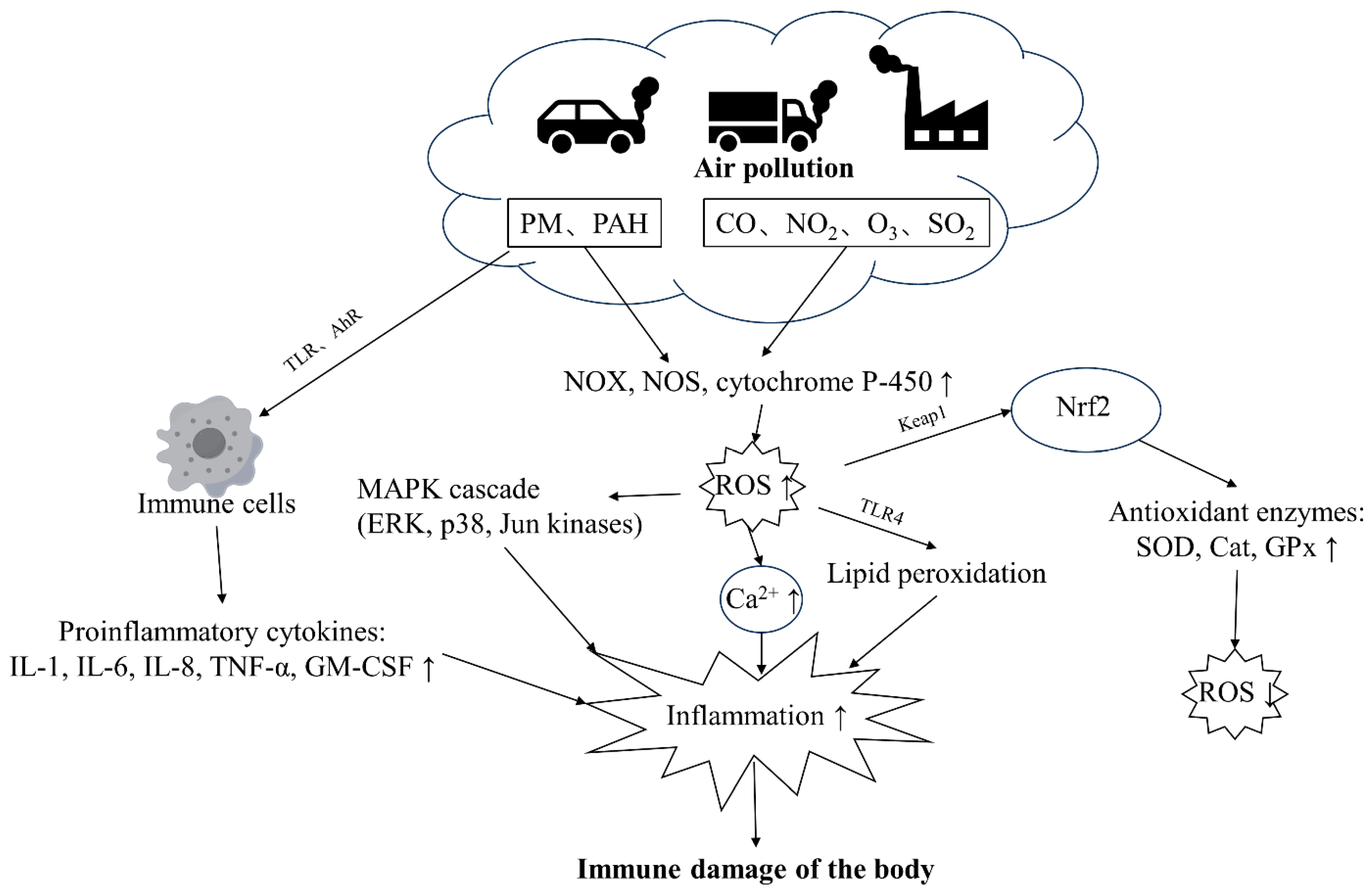 Biology 13 00247 g002