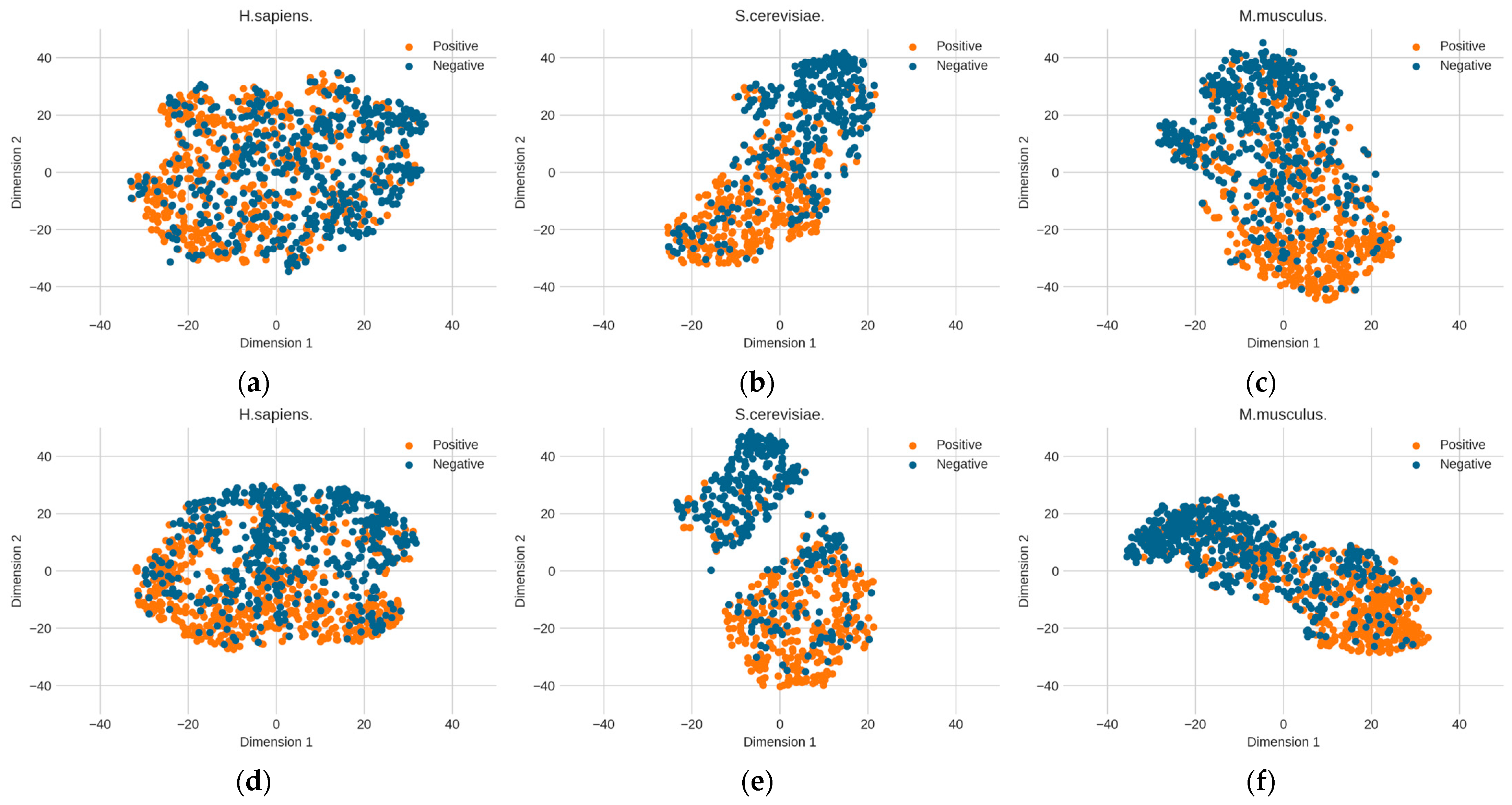 Biology 13 00248 g006
