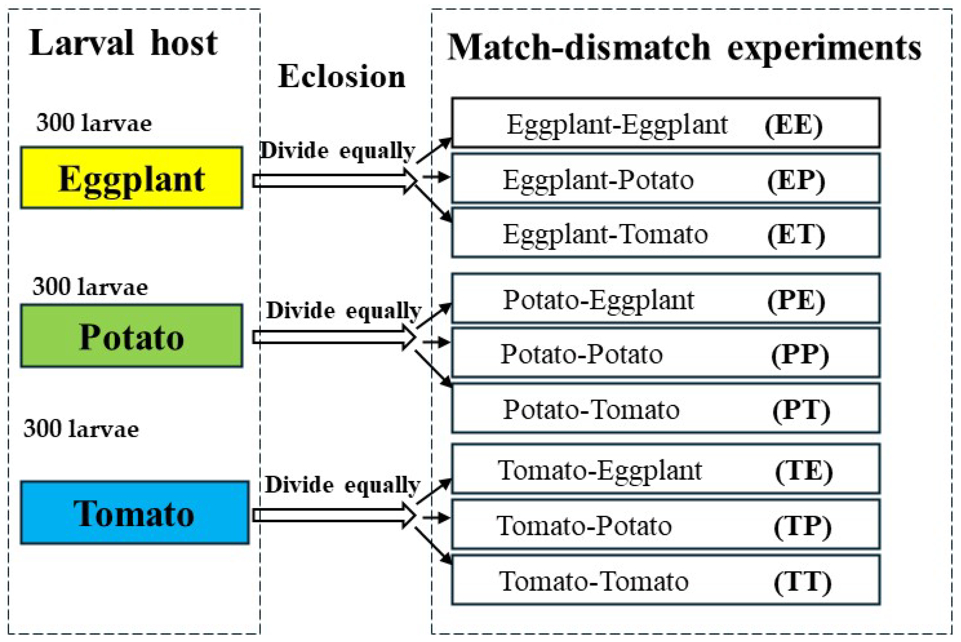 Biology 13 00250 g001