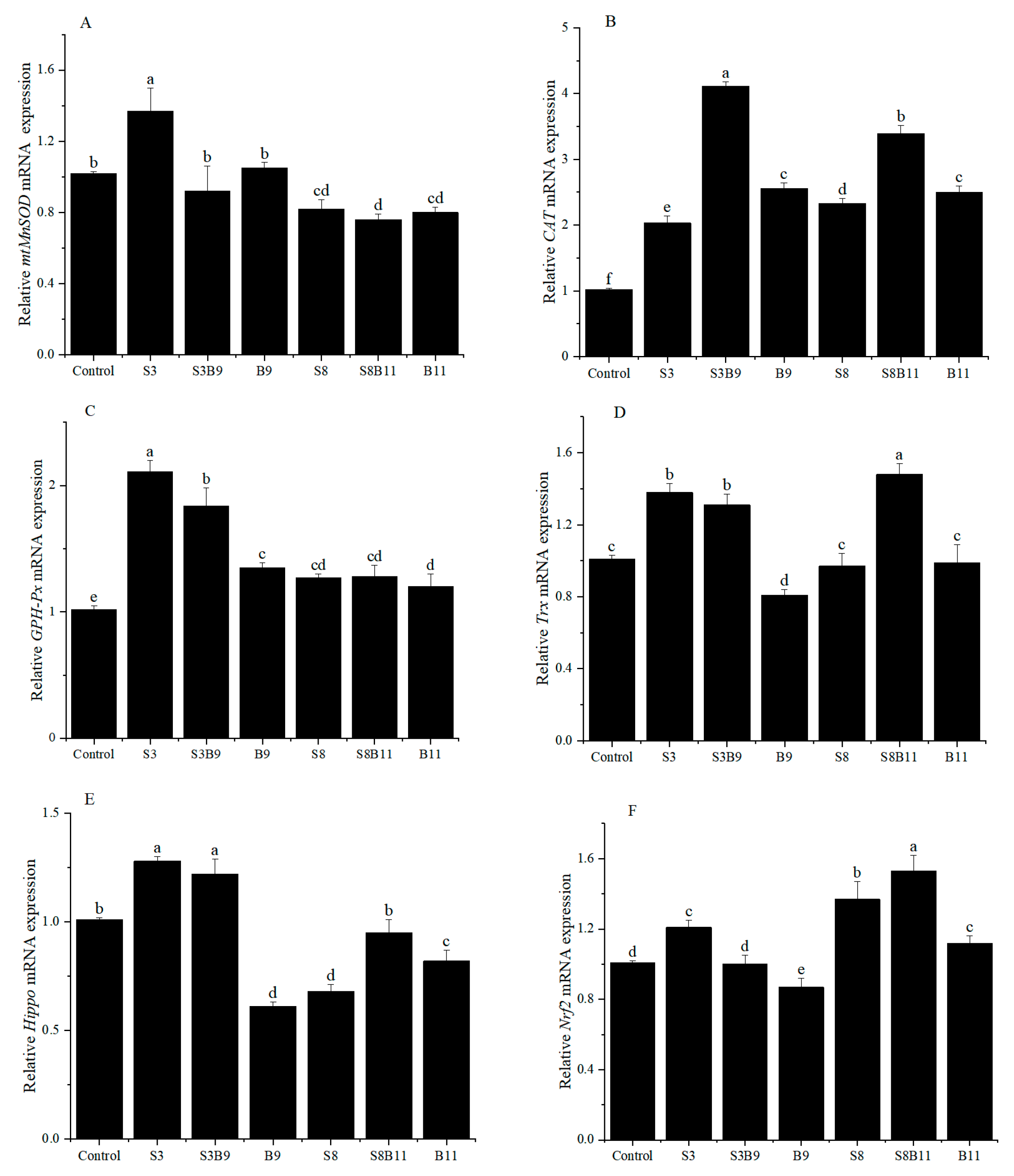 Biology 13 00252 g002