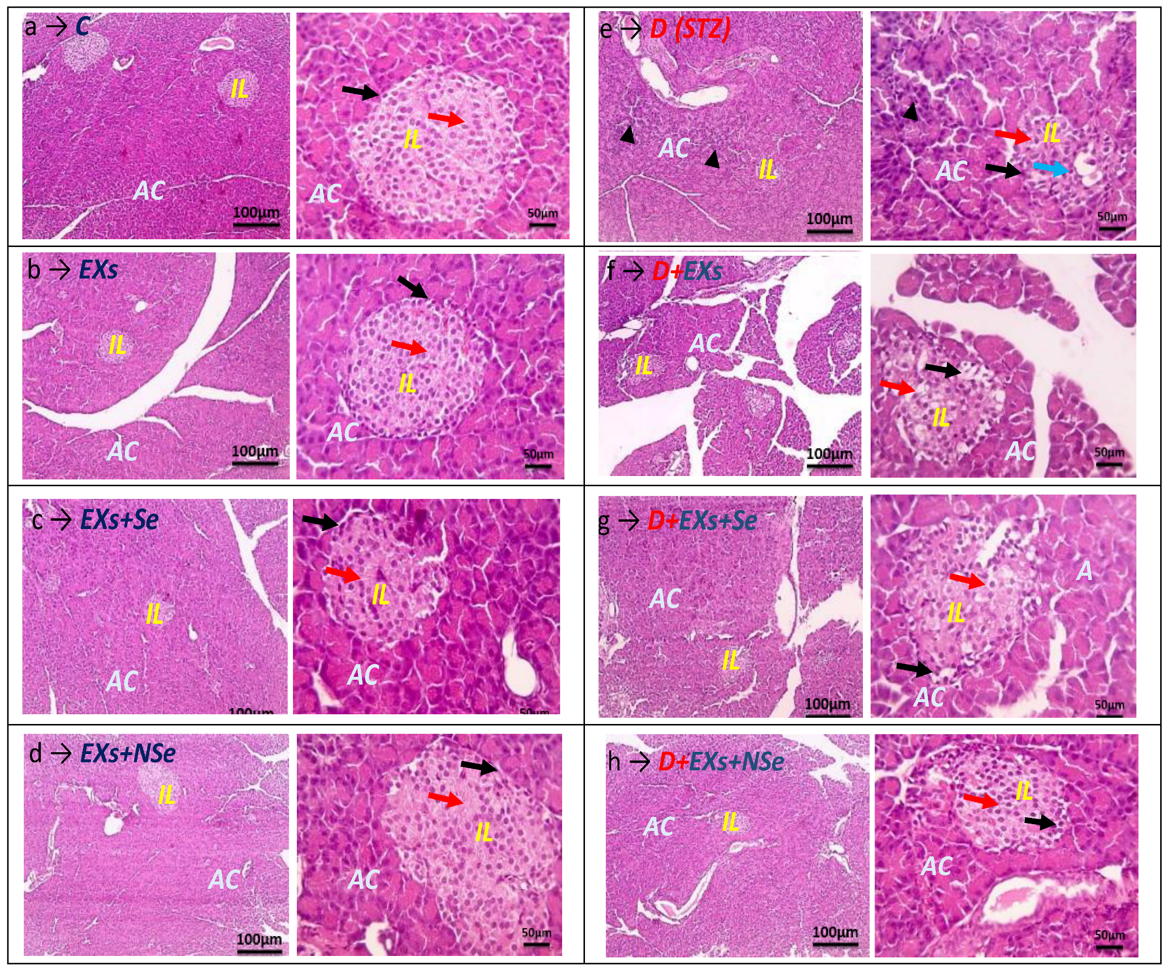 Biology 13 00253 g012