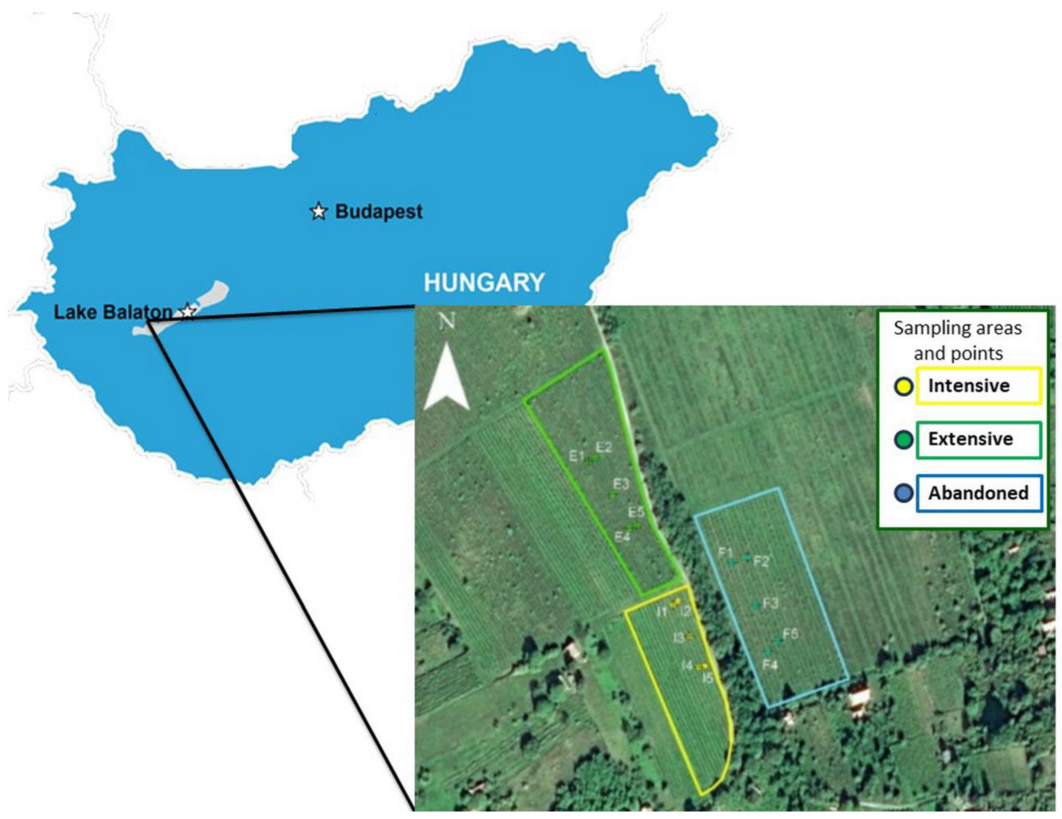Biology 13 00254 g001