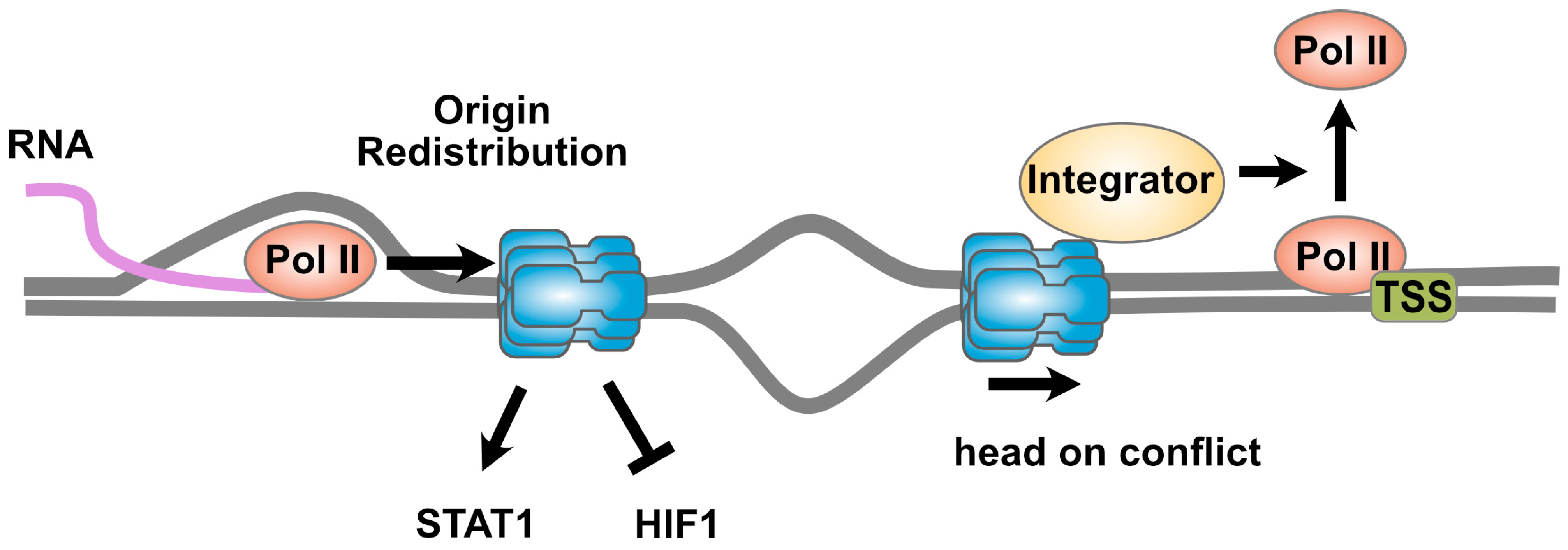 Biology 13 00258 g002