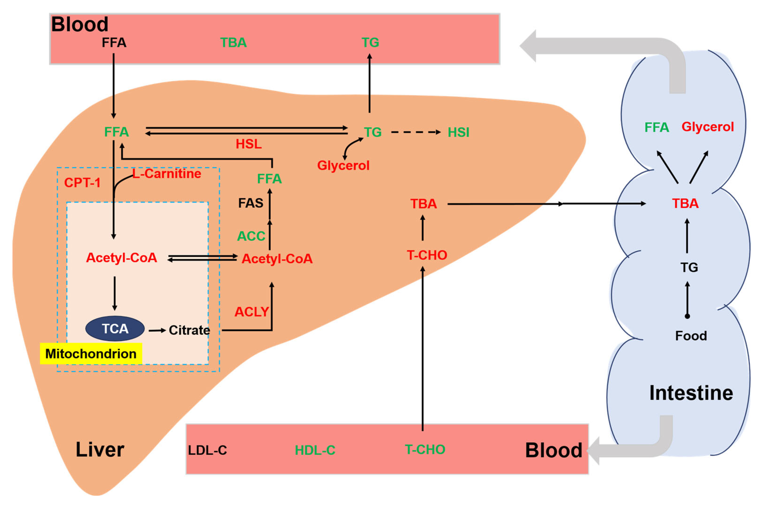 Biology 13 00263 g007