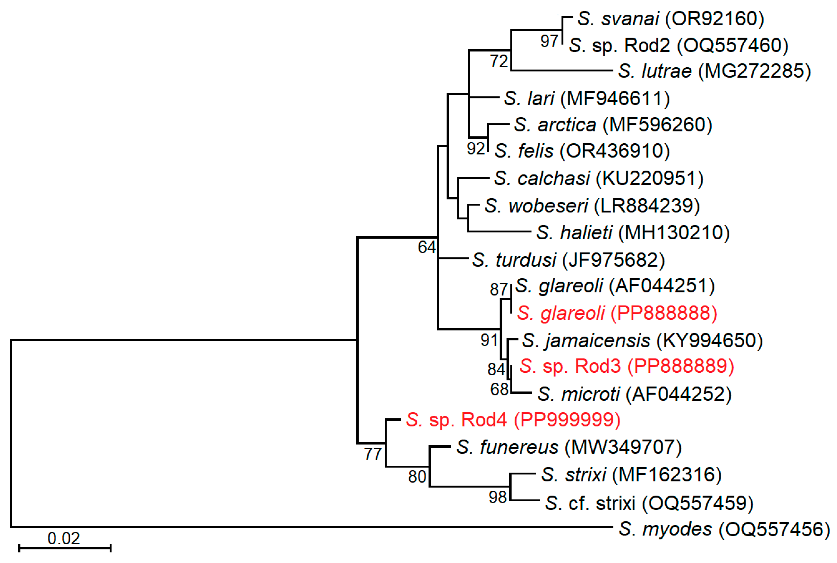 Biology 13 00264 g004